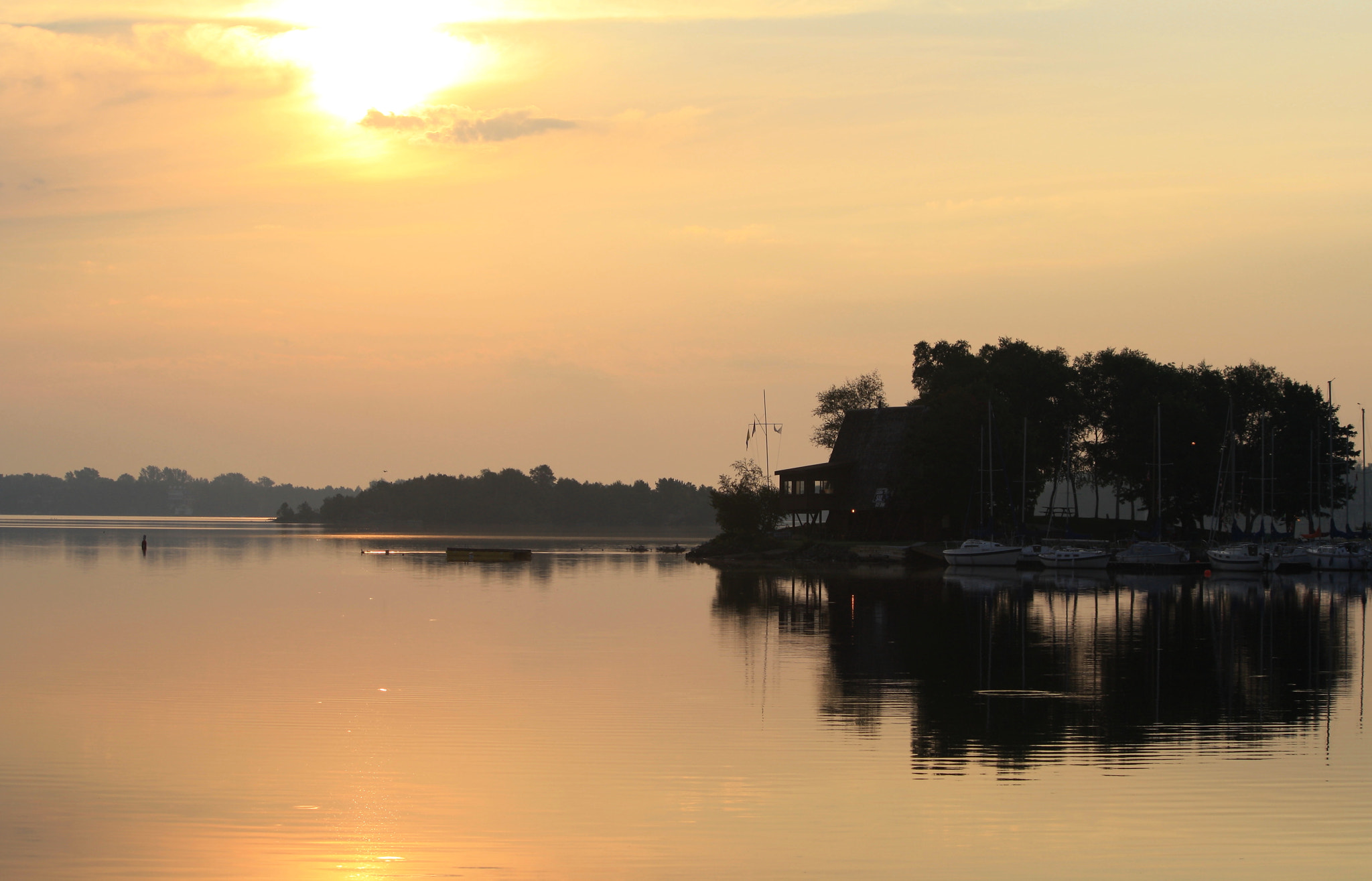 Canon EF-S 55-250mm F4-5.6 IS sample photo. Good morning3 photography