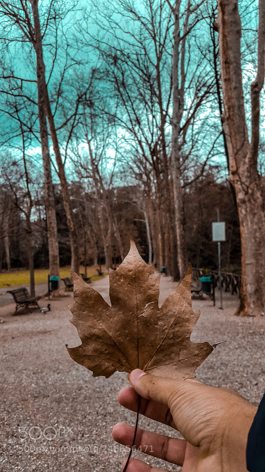 Samsung Galaxy S5 sample photo. Arce time photography