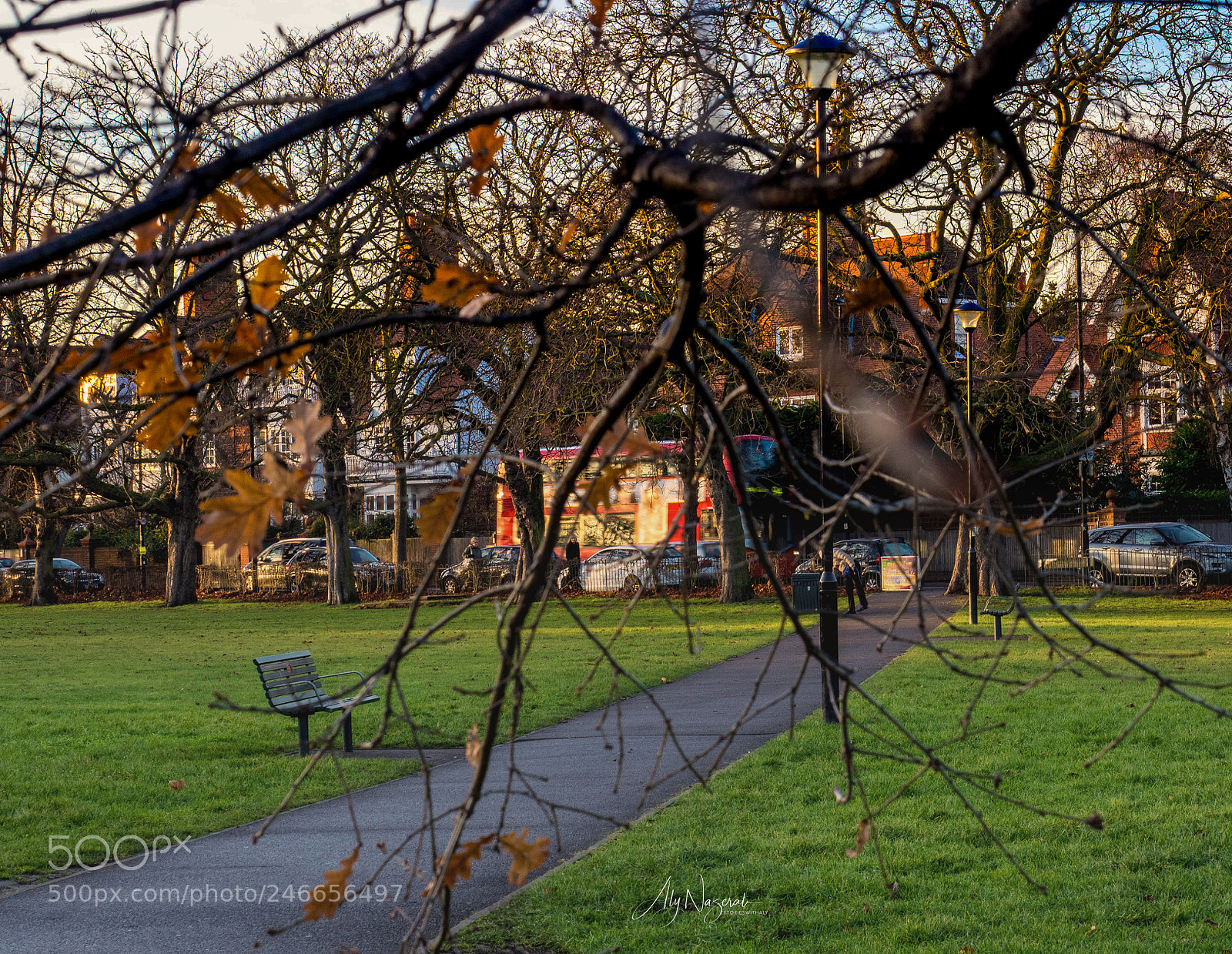 Olympus OM-D E-M1 Mark II sample photo. Autumn photography