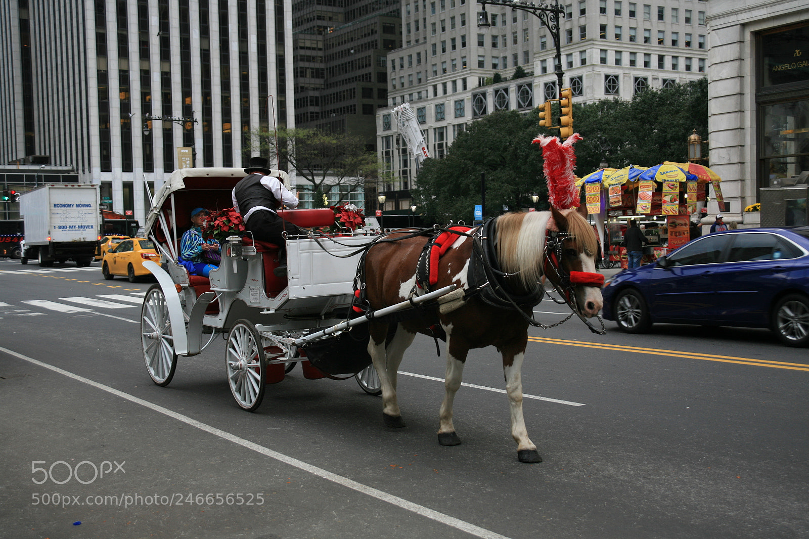 Canon EOS 5D sample photo. Img photography