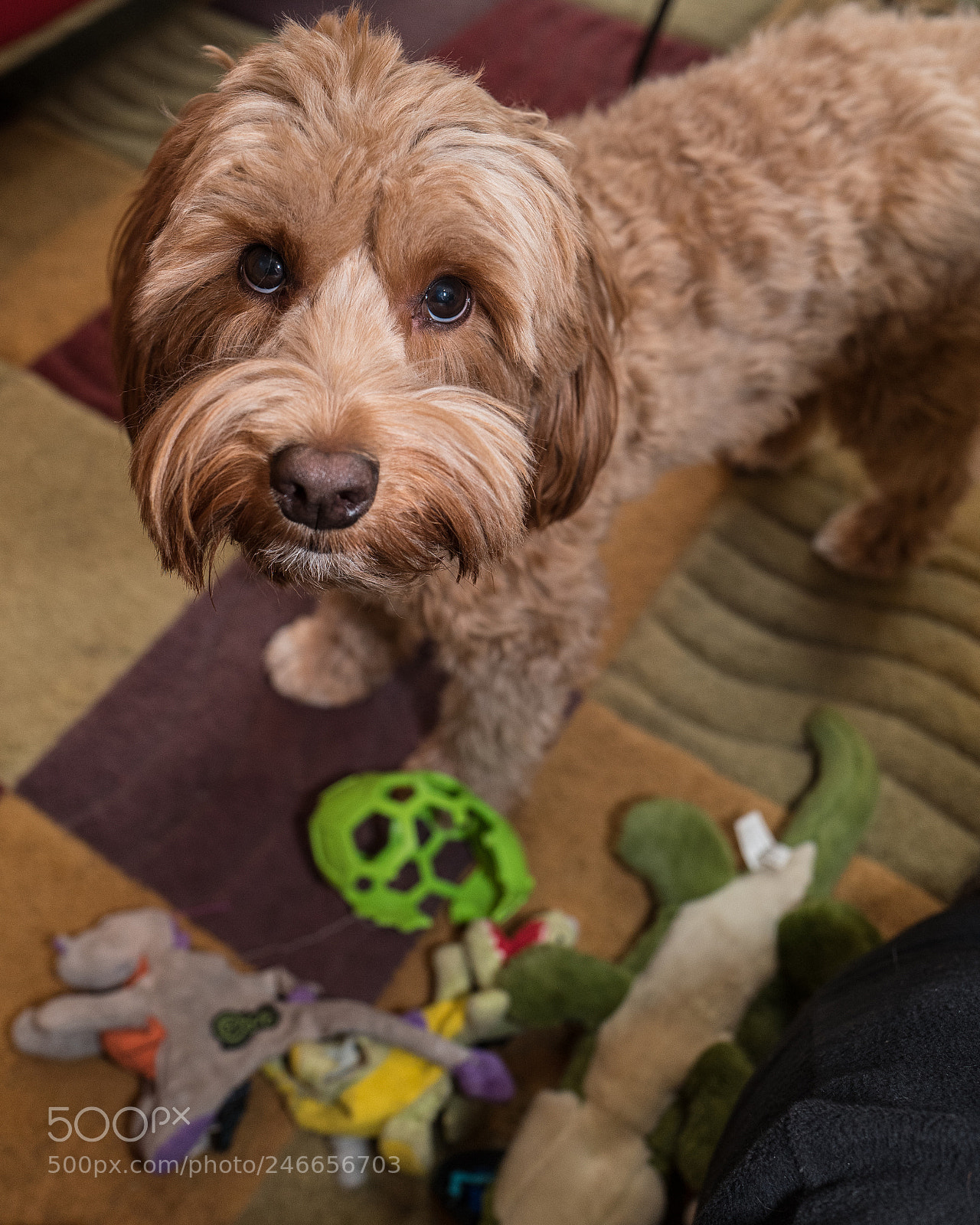 Leica Q (Typ 116) sample photo. Please photography