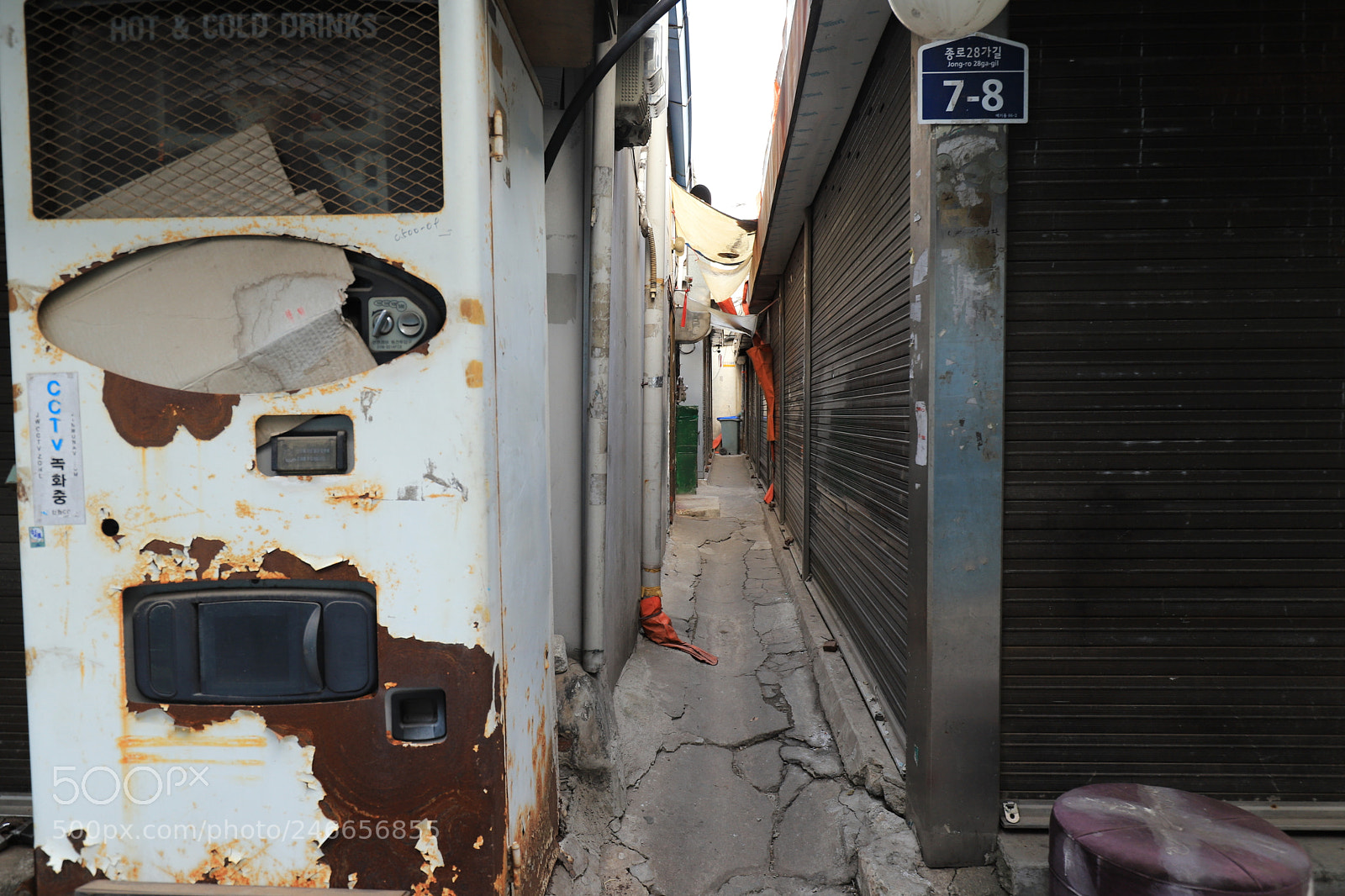 Canon EOS 6D Mark II sample photo. Wynd photography
