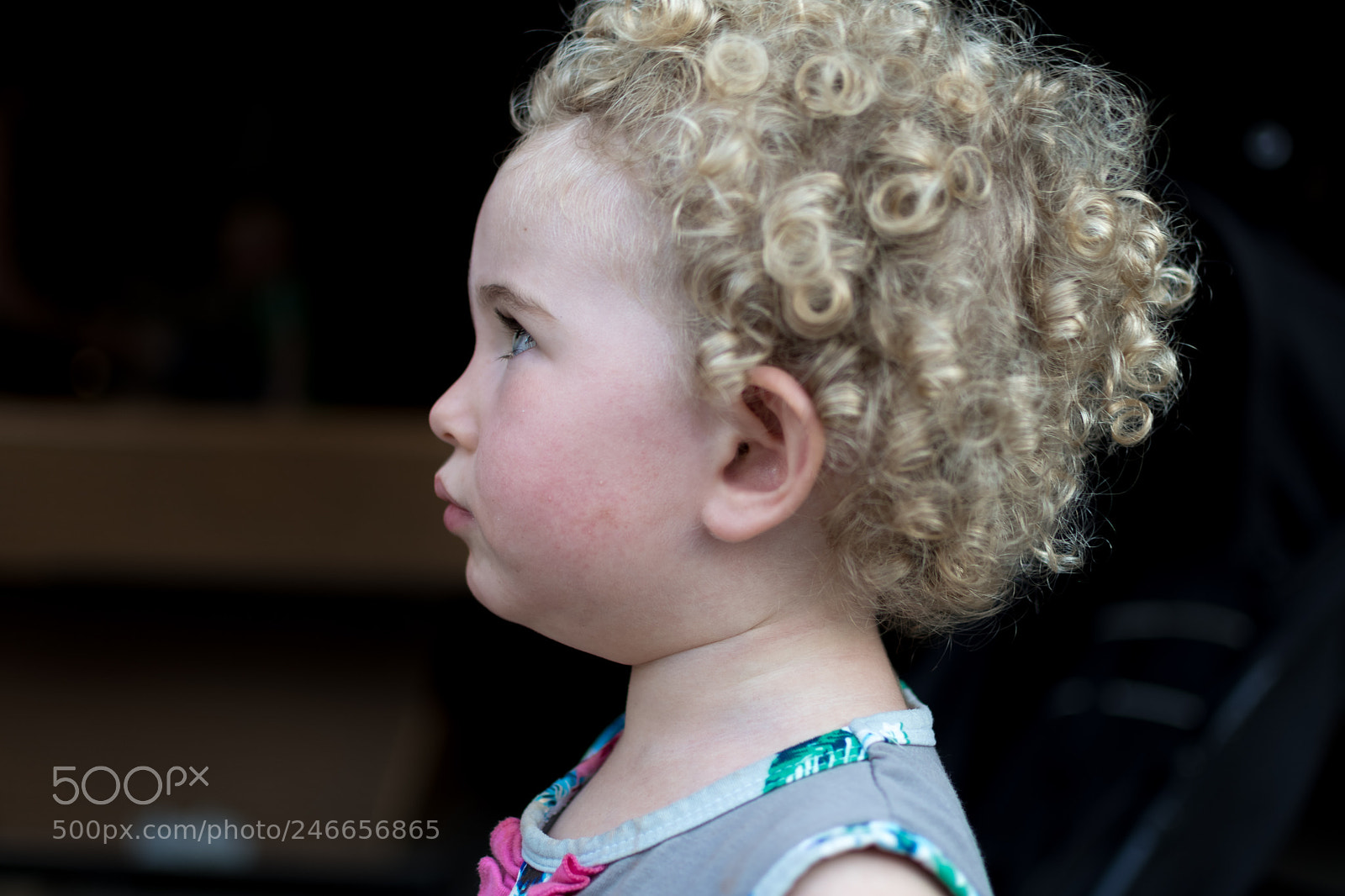 Nikon D7500 sample photo. Oh please! photography