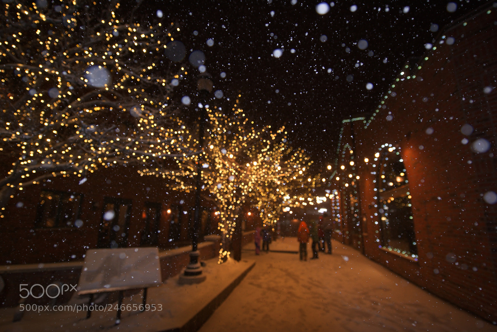 Nikon D810 sample photo. Snow in park city photography