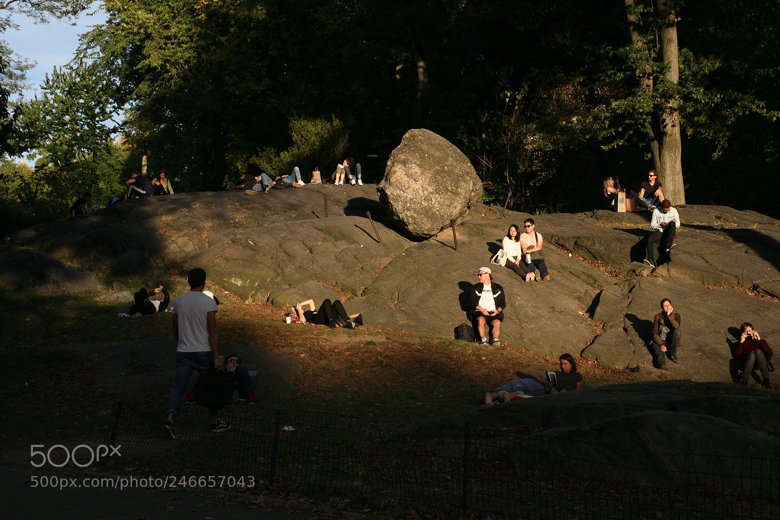 Canon EOS 5D sample photo. Central parc photography