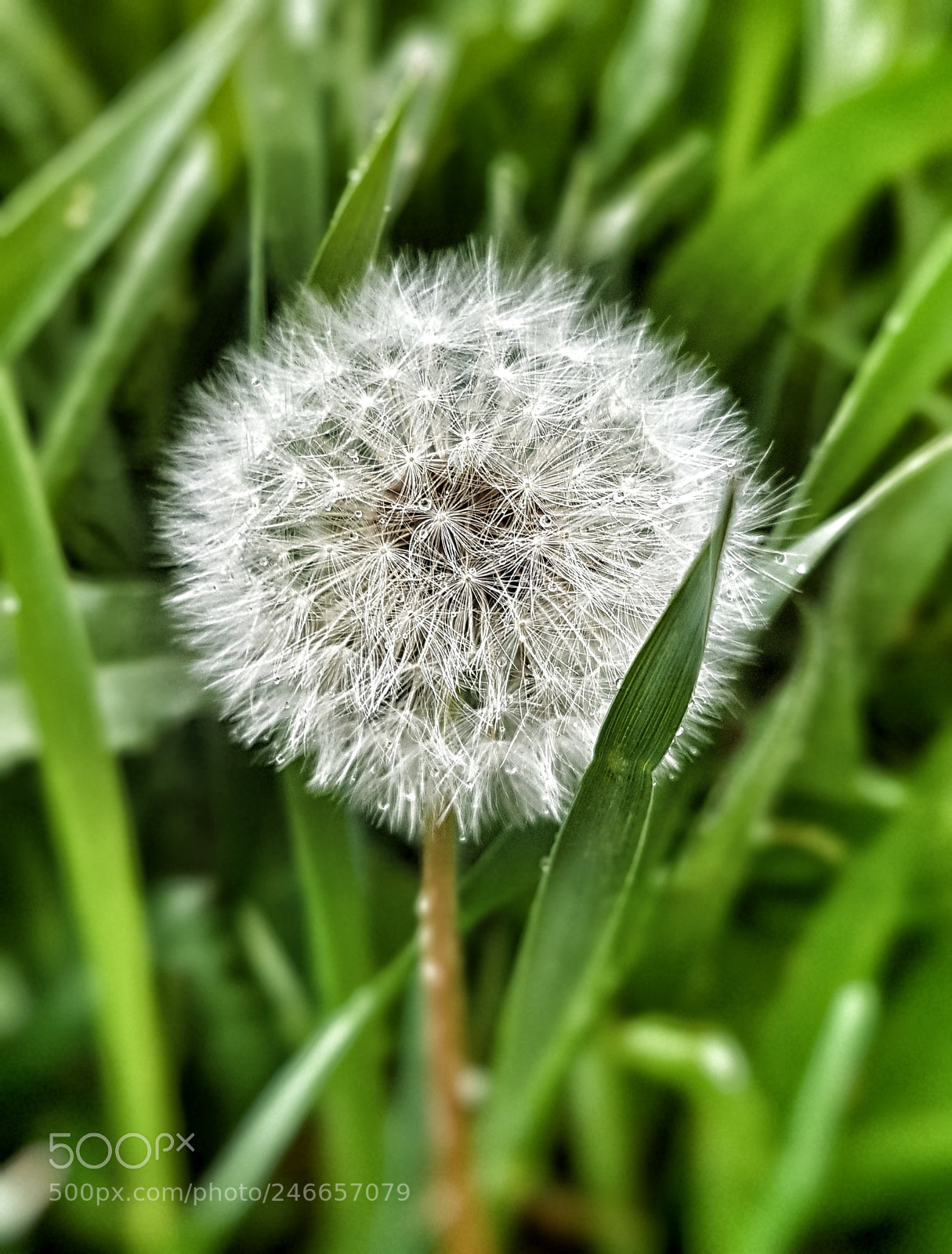 Samsung Galaxy S7 Edge sample photo. Untitled photography