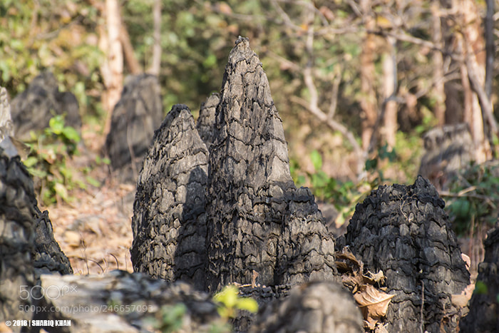 Nikon D3100 sample photo. Artistic rock formations photography