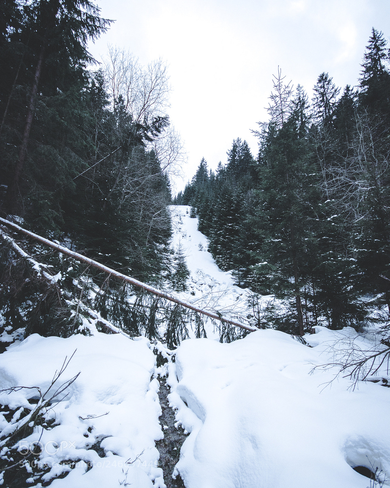 Nikon D7100 sample photo. Ski jump photography
