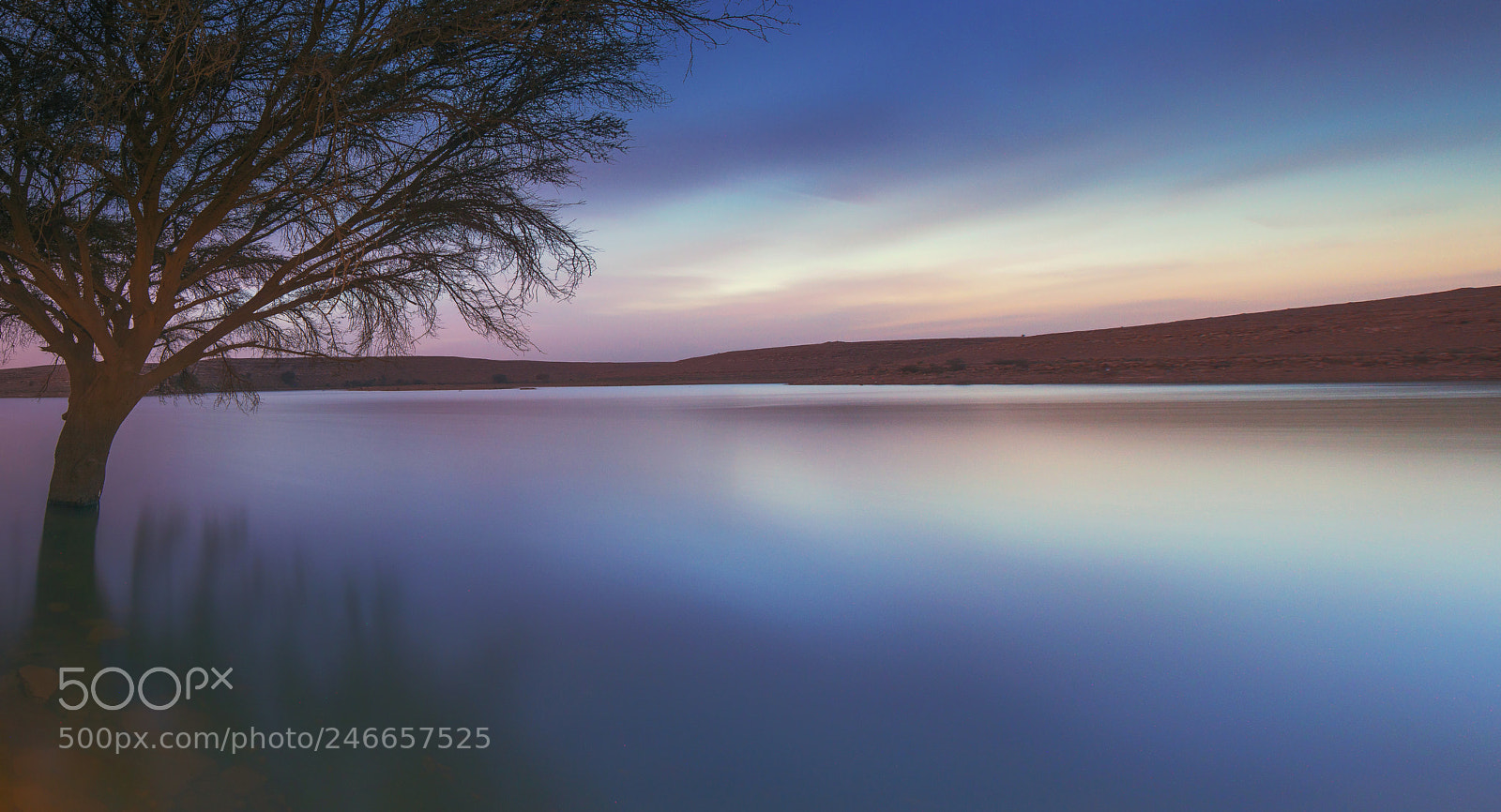 Nikon D800E sample photo. Tarn photography