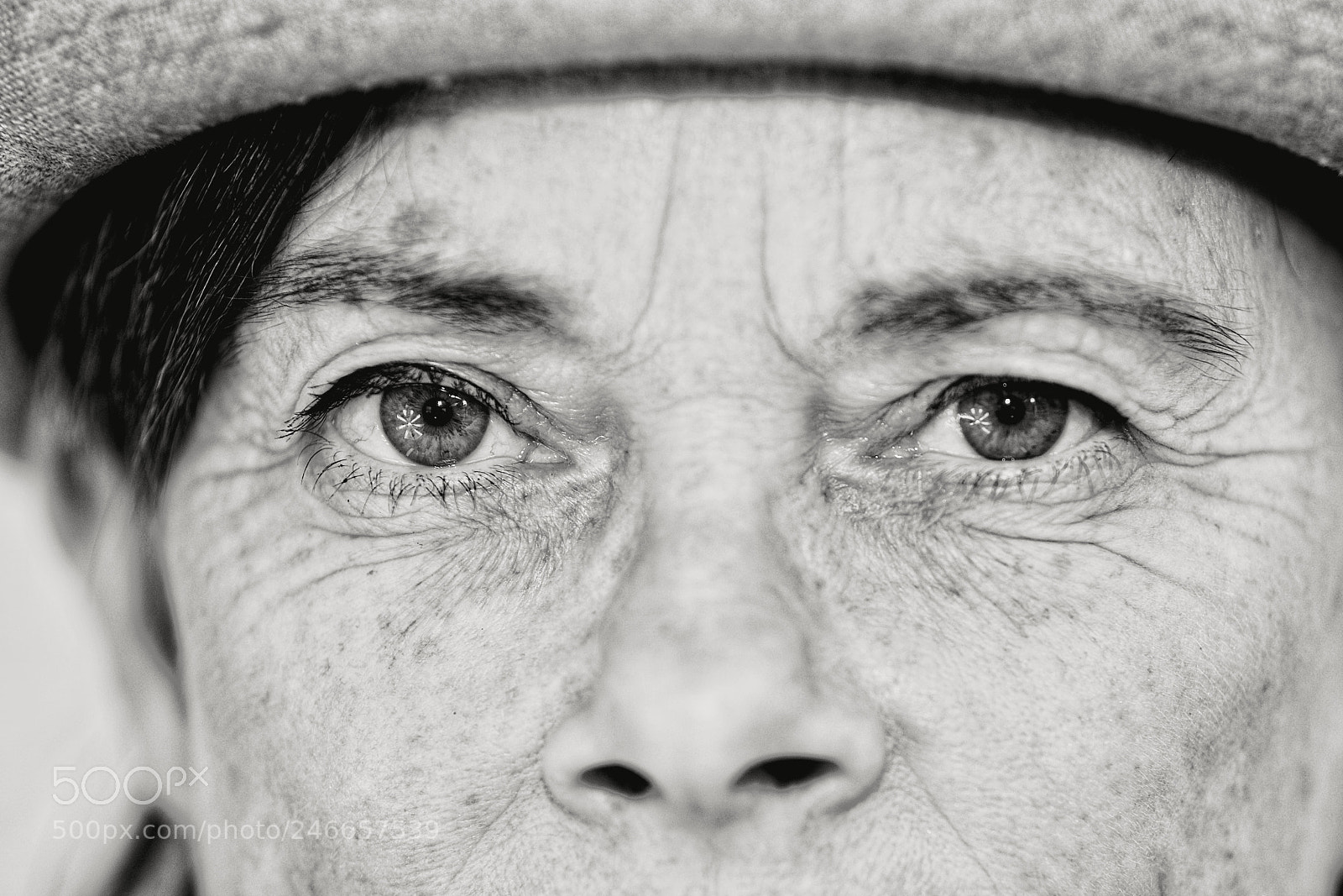 Nikon D300 sample photo. Familiar eyes photography