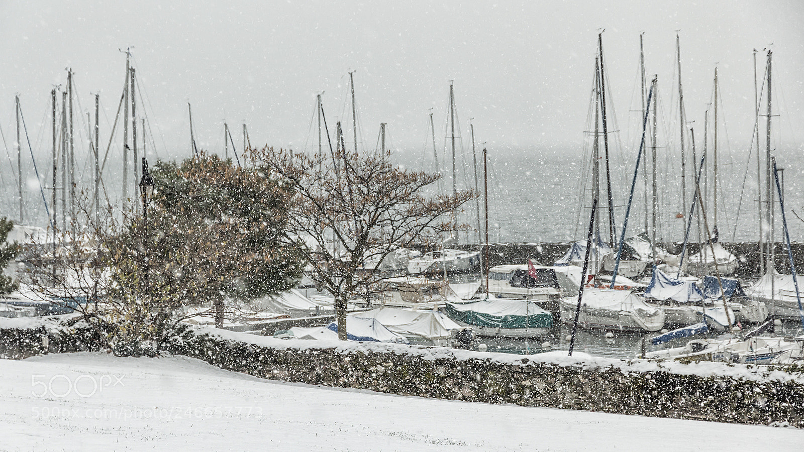 Canon EOS 600D (Rebel EOS T3i / EOS Kiss X5) sample photo. Snowy - la tour photography