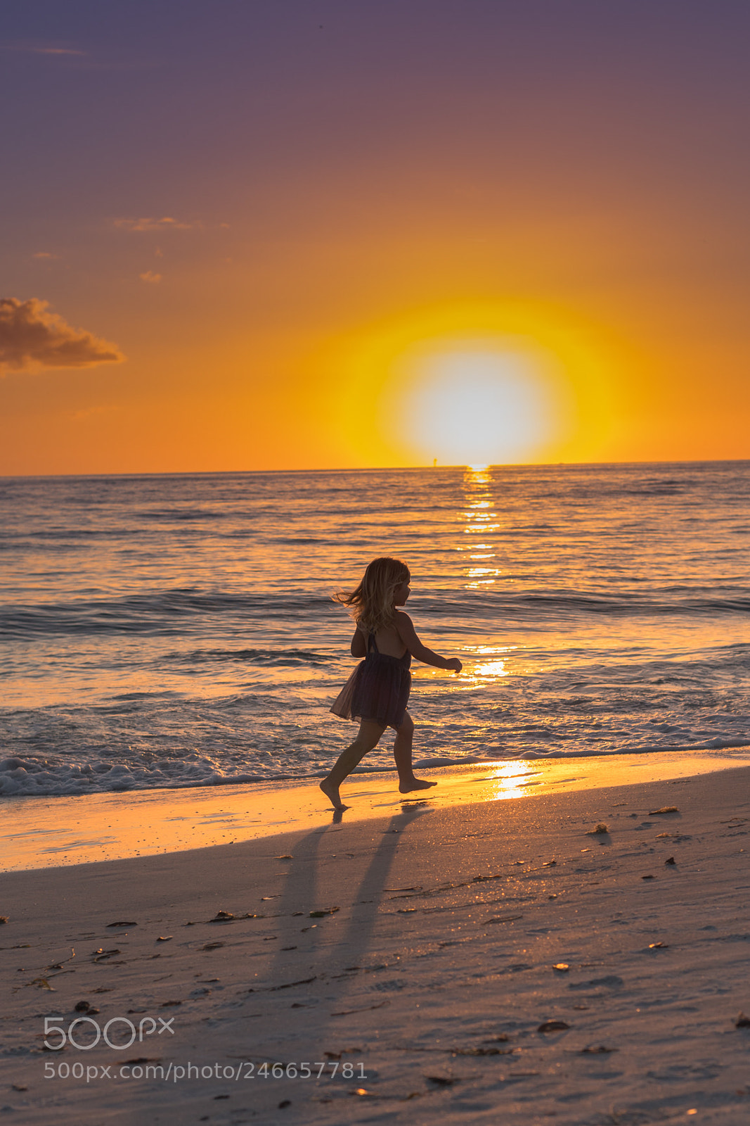 Canon EOS 6D Mark II sample photo. Sunset run photography