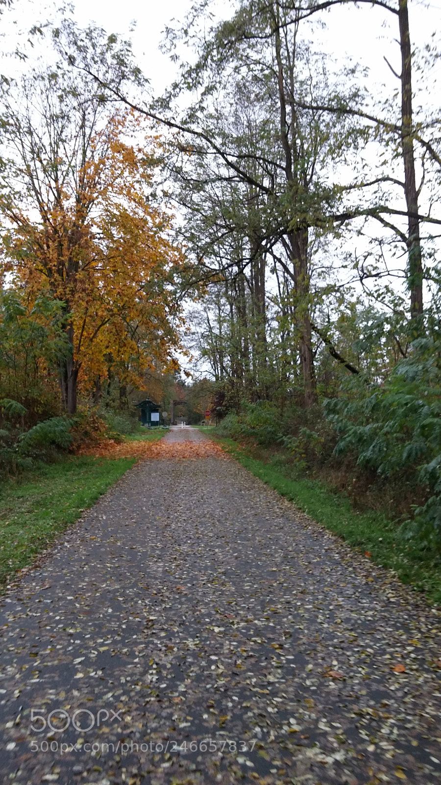 LG G3 sample photo. Untitled photography
