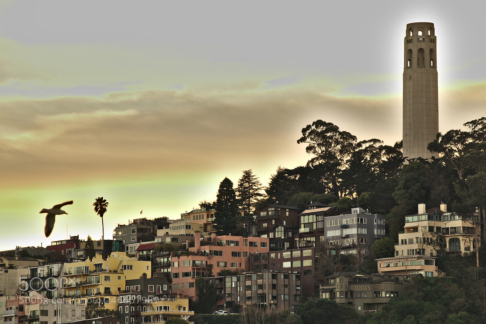 Fujifilm X-T10 sample photo. Coit tower photography