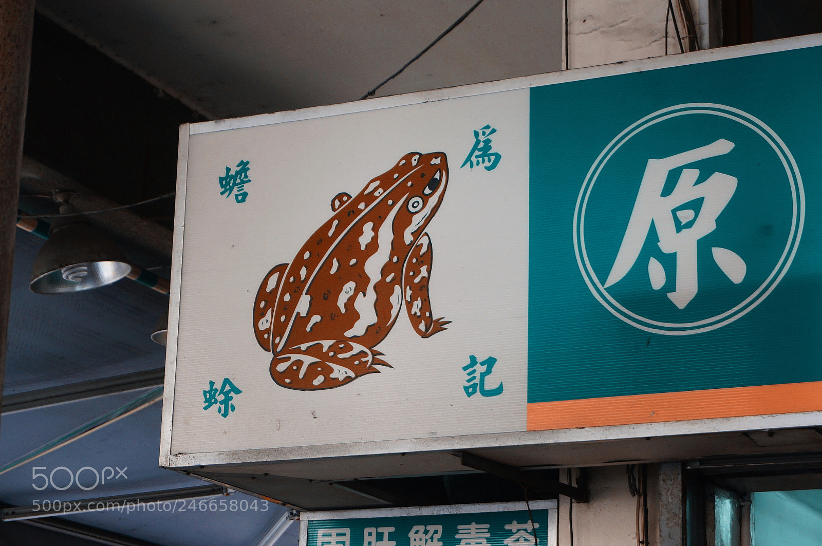 Sony Alpha NEX-5R sample photo. Untitled photography