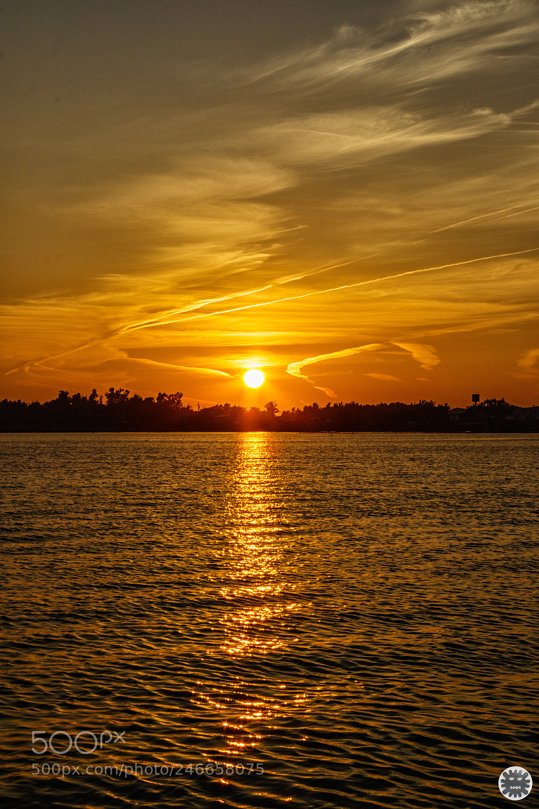 Canon EOS 7D Mark II sample photo. Untitled photography