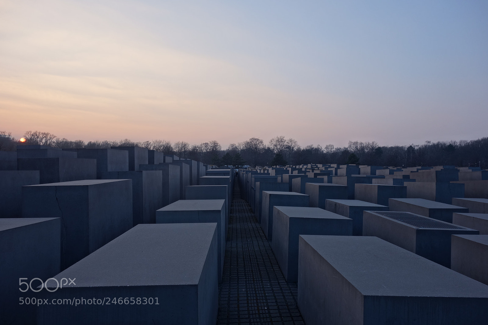 Sony Cyber-shot DSC-RX100 sample photo. The sound of silence photography