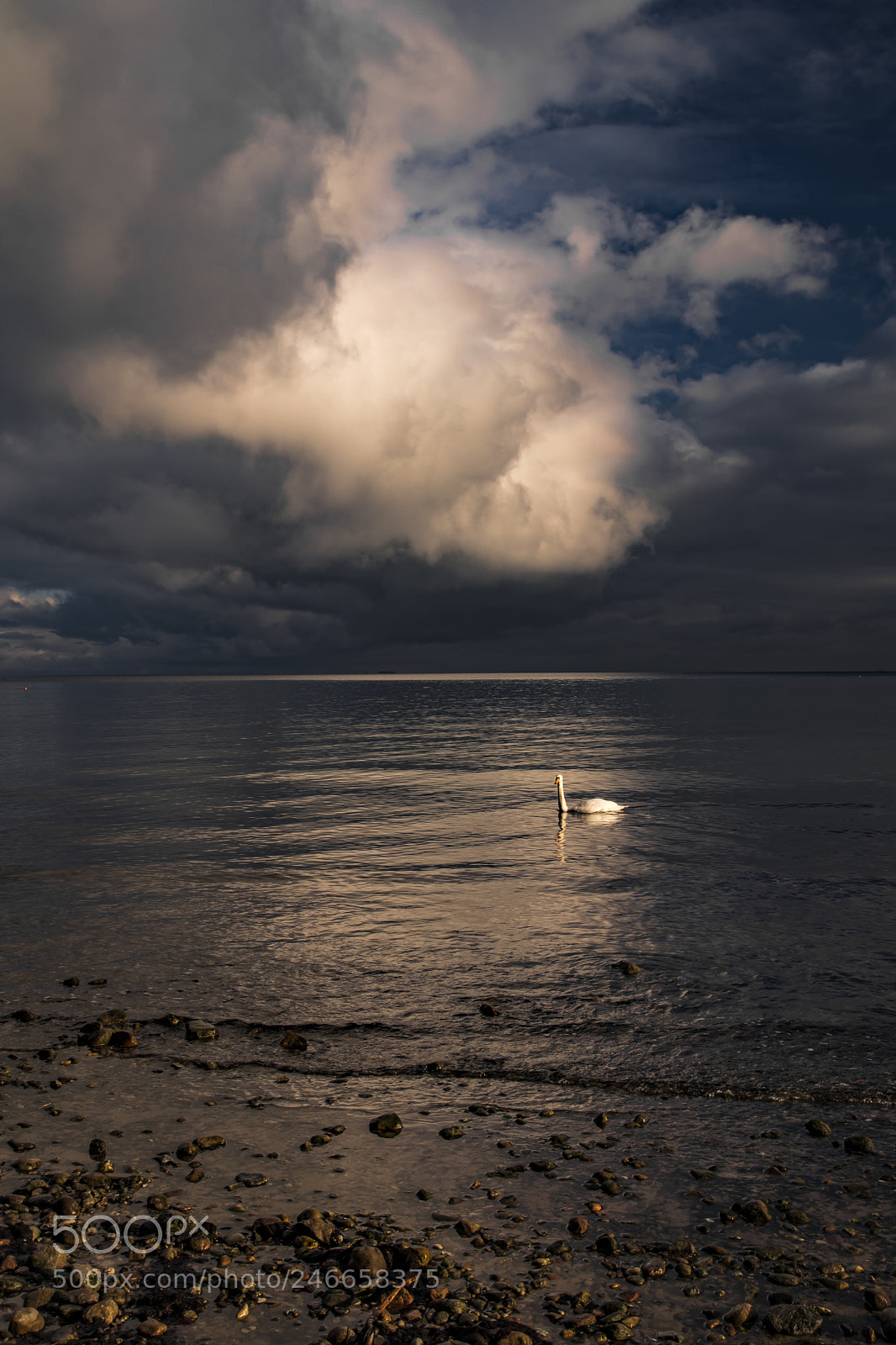 Pentax K-70 sample photo. Orłowo photography