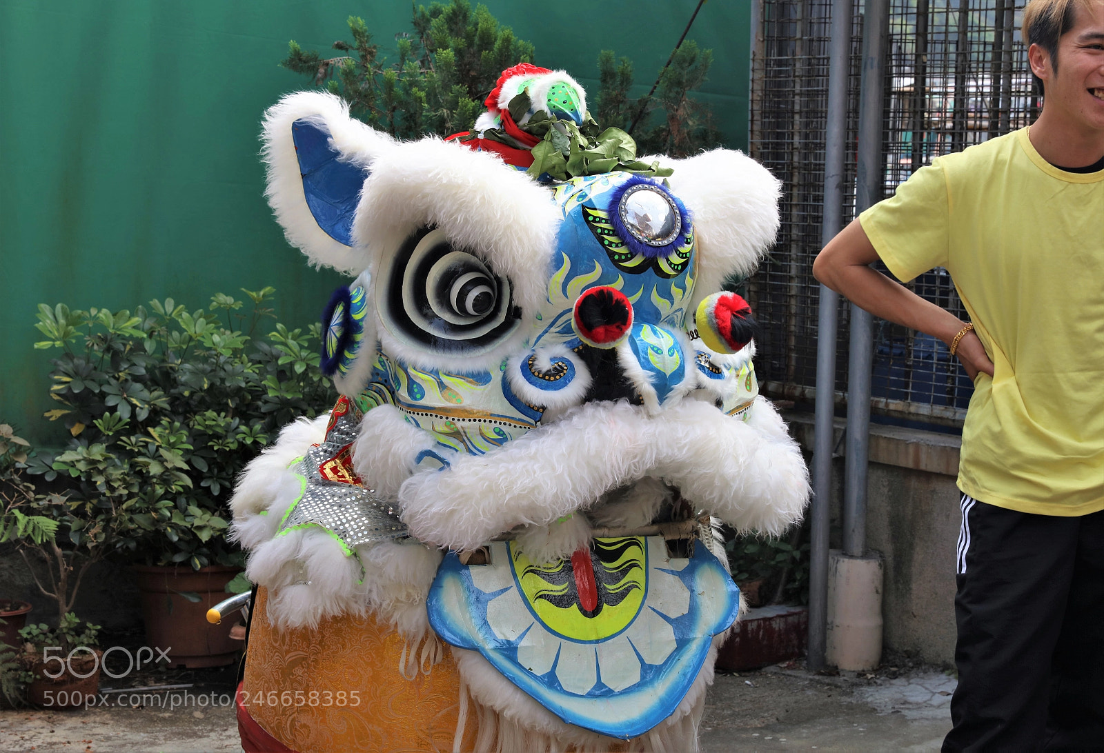 Canon EOS 5DS R sample photo. Lion dance costume photography