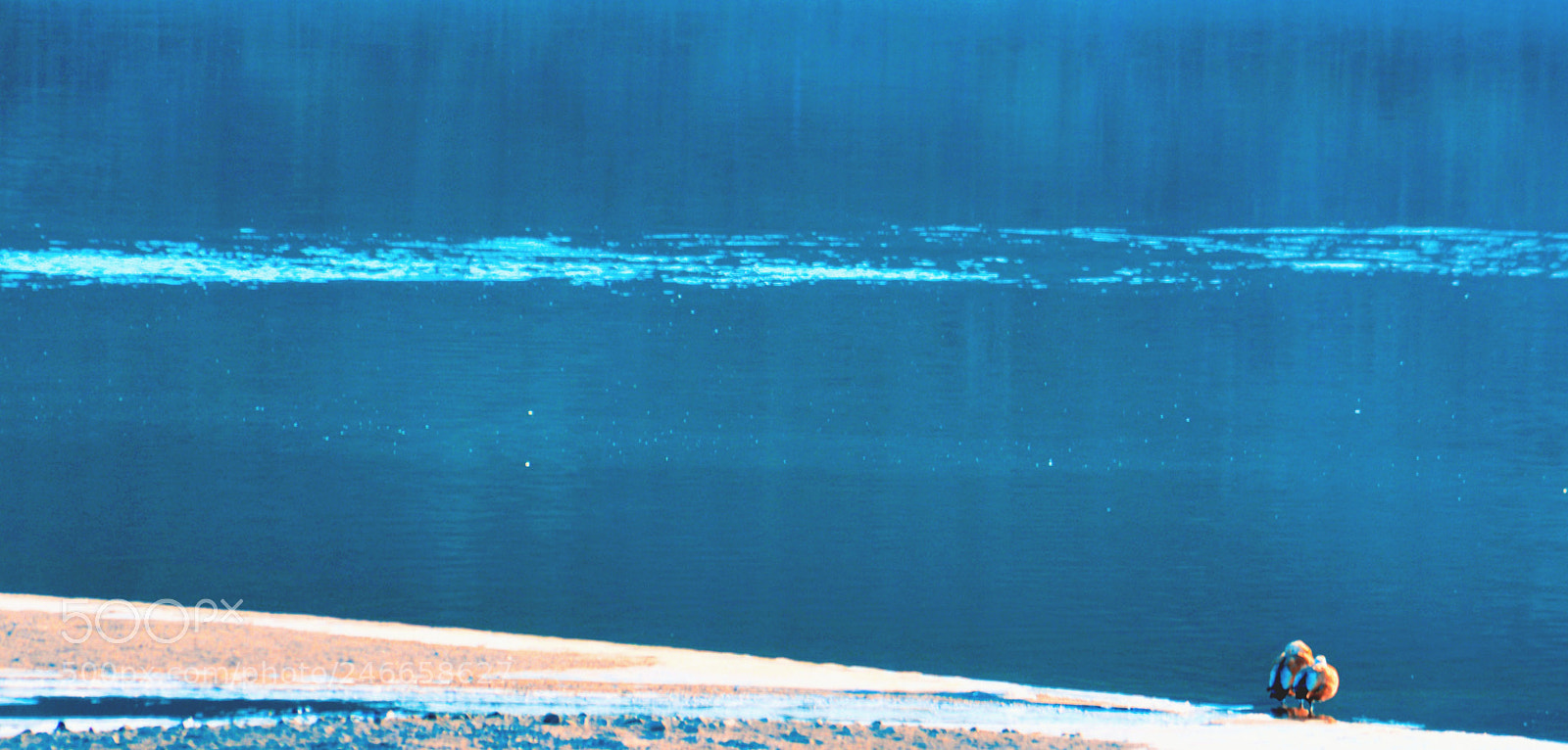 Nikon D7100 sample photo. Winter photography