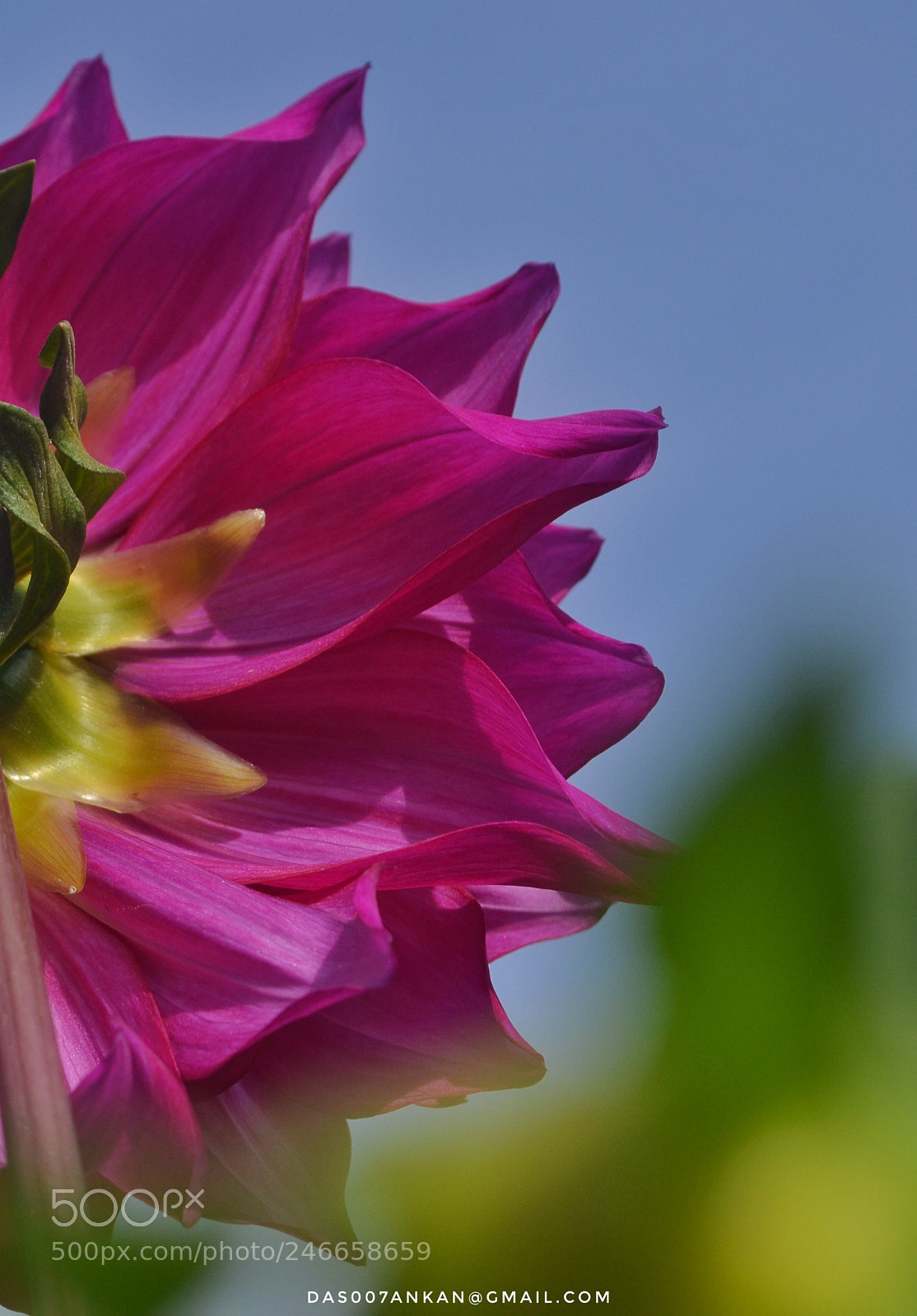 Nikon D3100 sample photo. Untitled photography