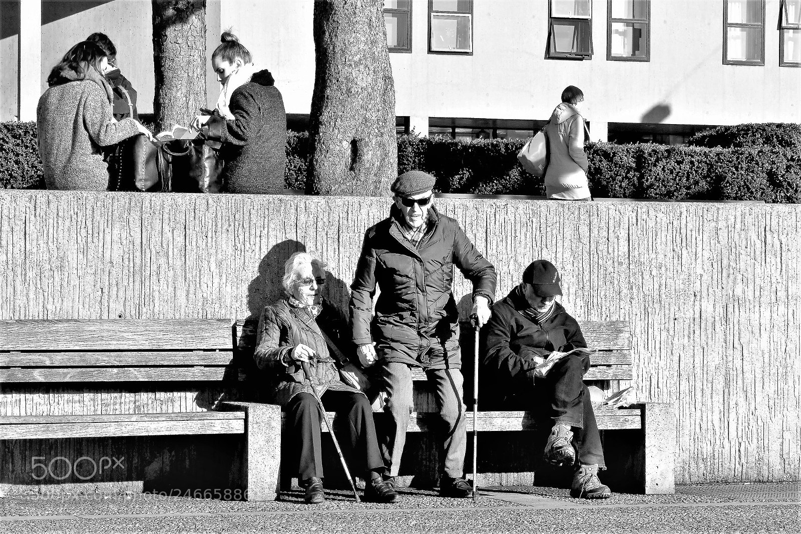 Canon EOS 500D (EOS Rebel T1i / EOS Kiss X3) sample photo. A spot in the photography