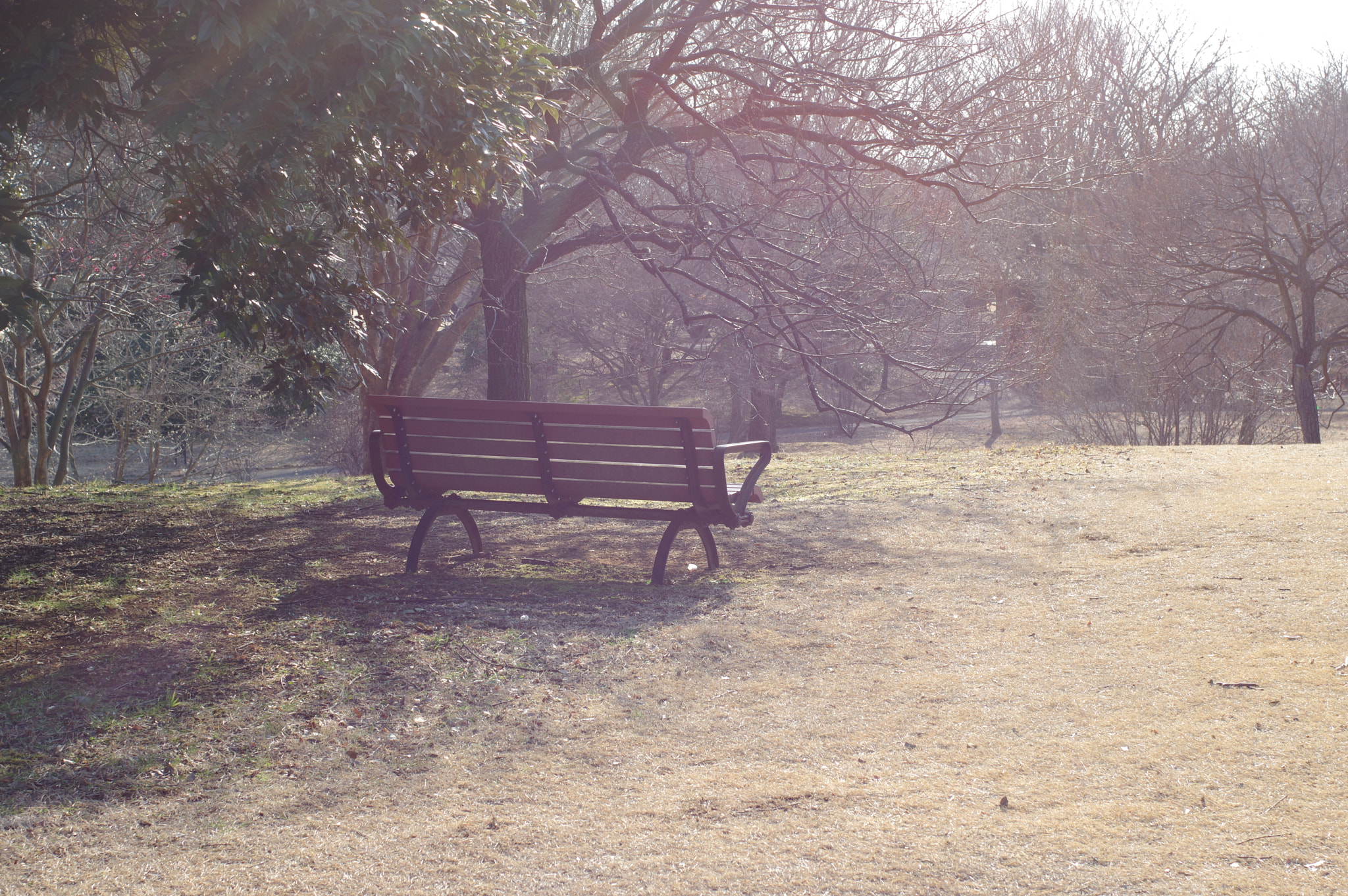 Pentax K-3 sample photo. “in a sentimental mood.....” photography