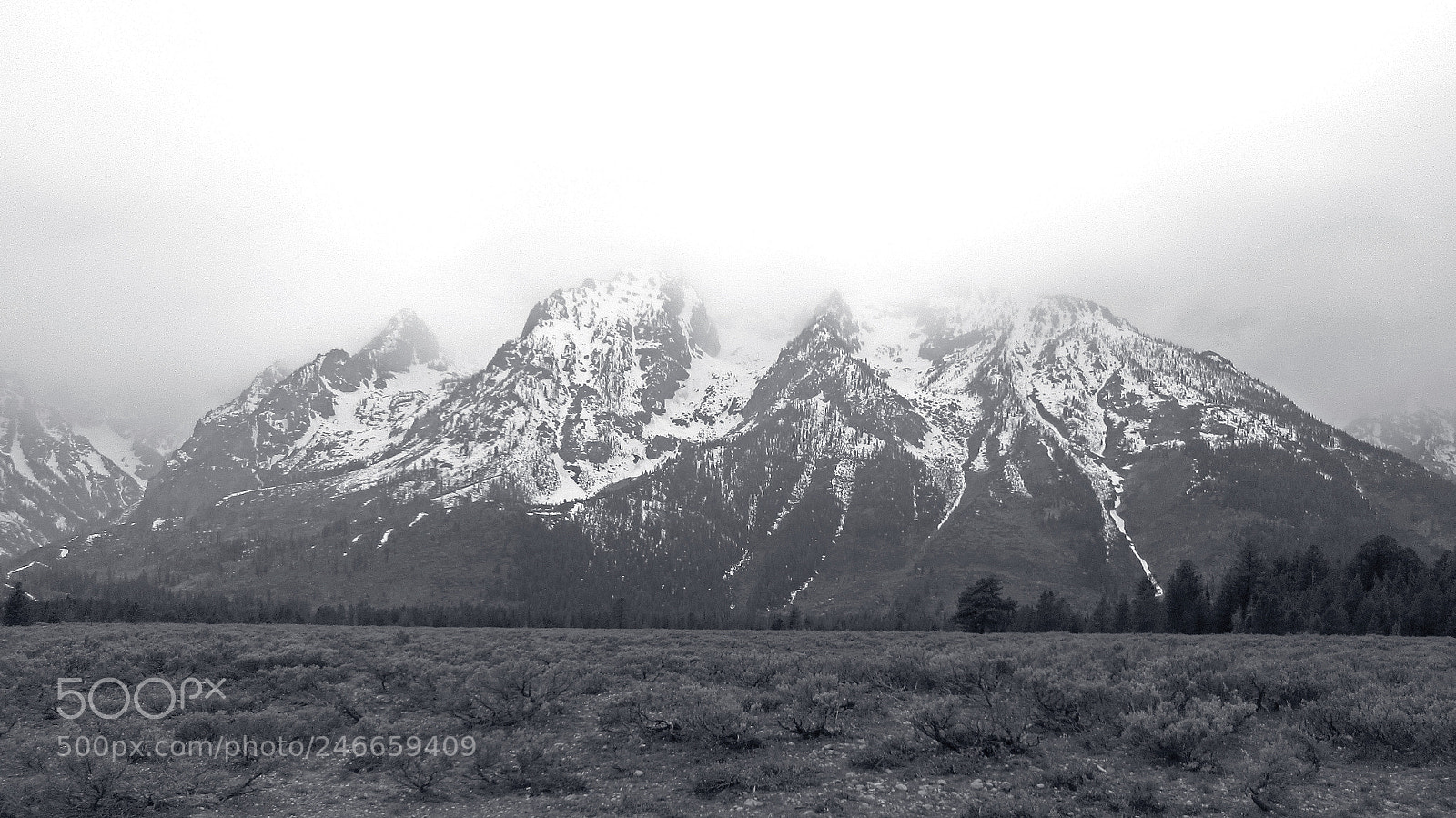 Canon PowerShot SX610 HS sample photo. Foggy tetons photography