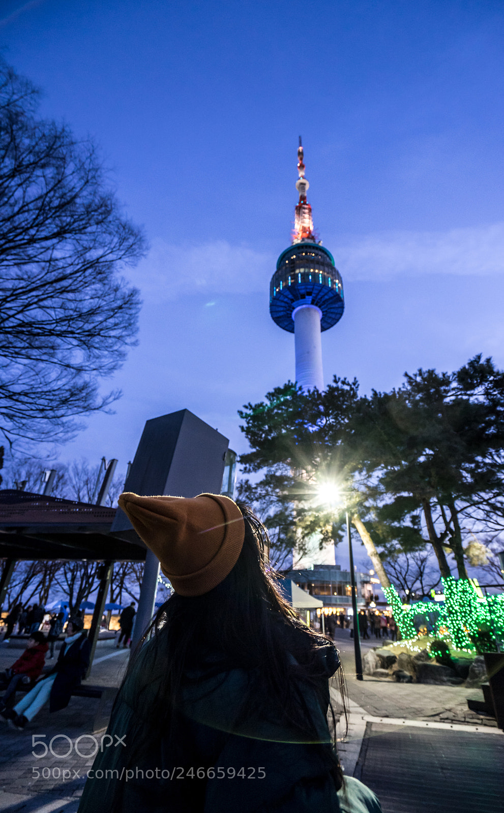 Sony a7 II sample photo. Namsan tower photography