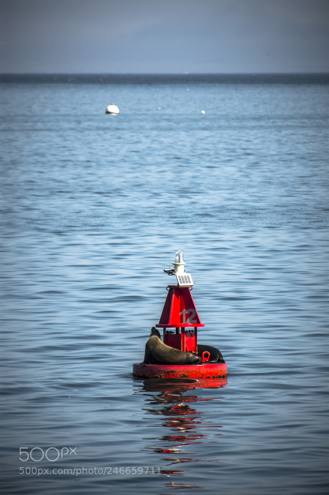 Nikon D7200 sample photo. Keep calm!!! photography