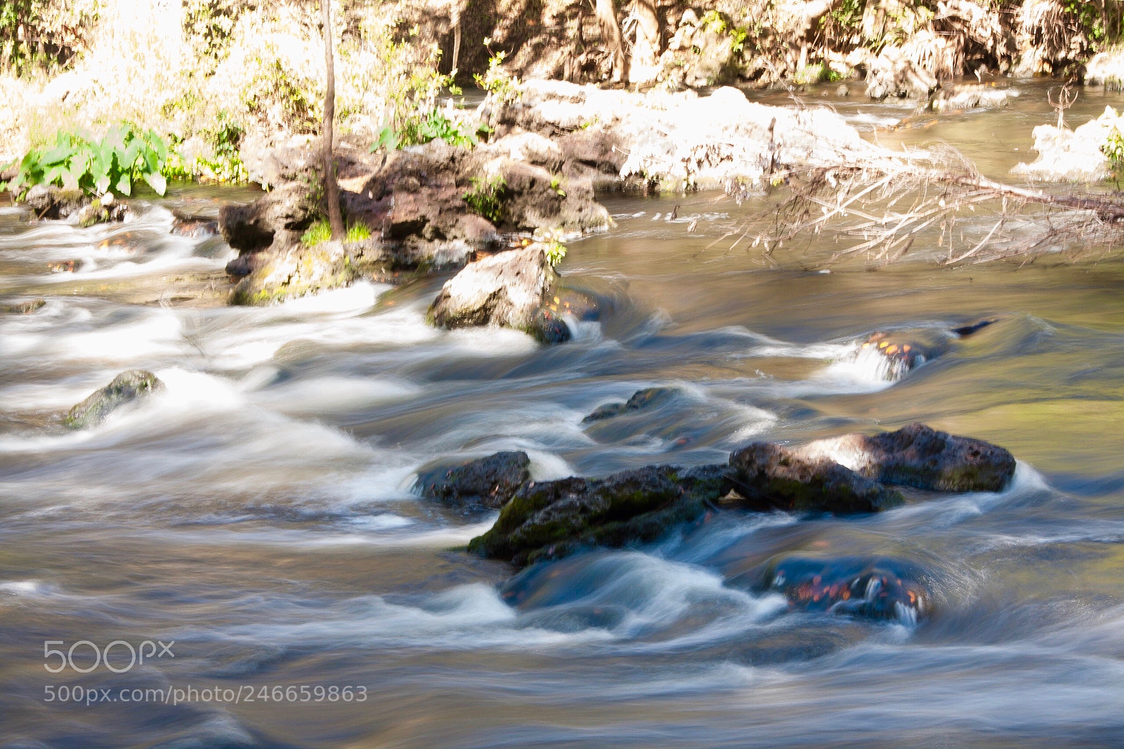 Canon EOS 40D sample photo. River photography