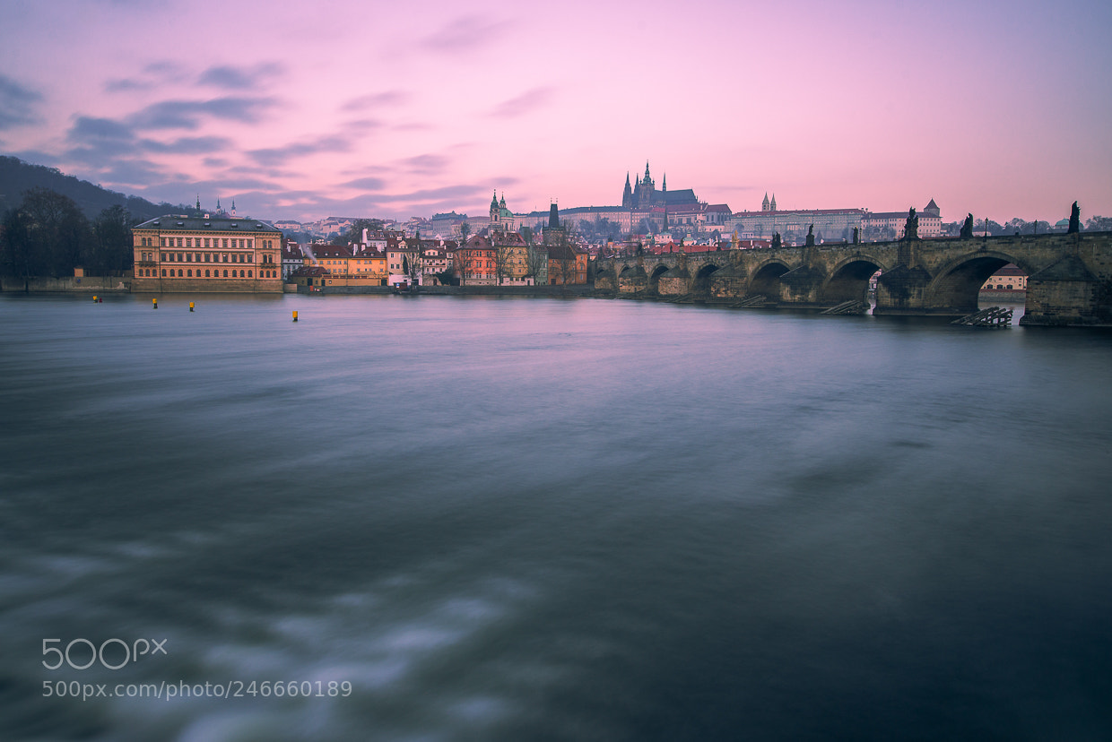 Nikon D600 sample photo. Prague ii photography