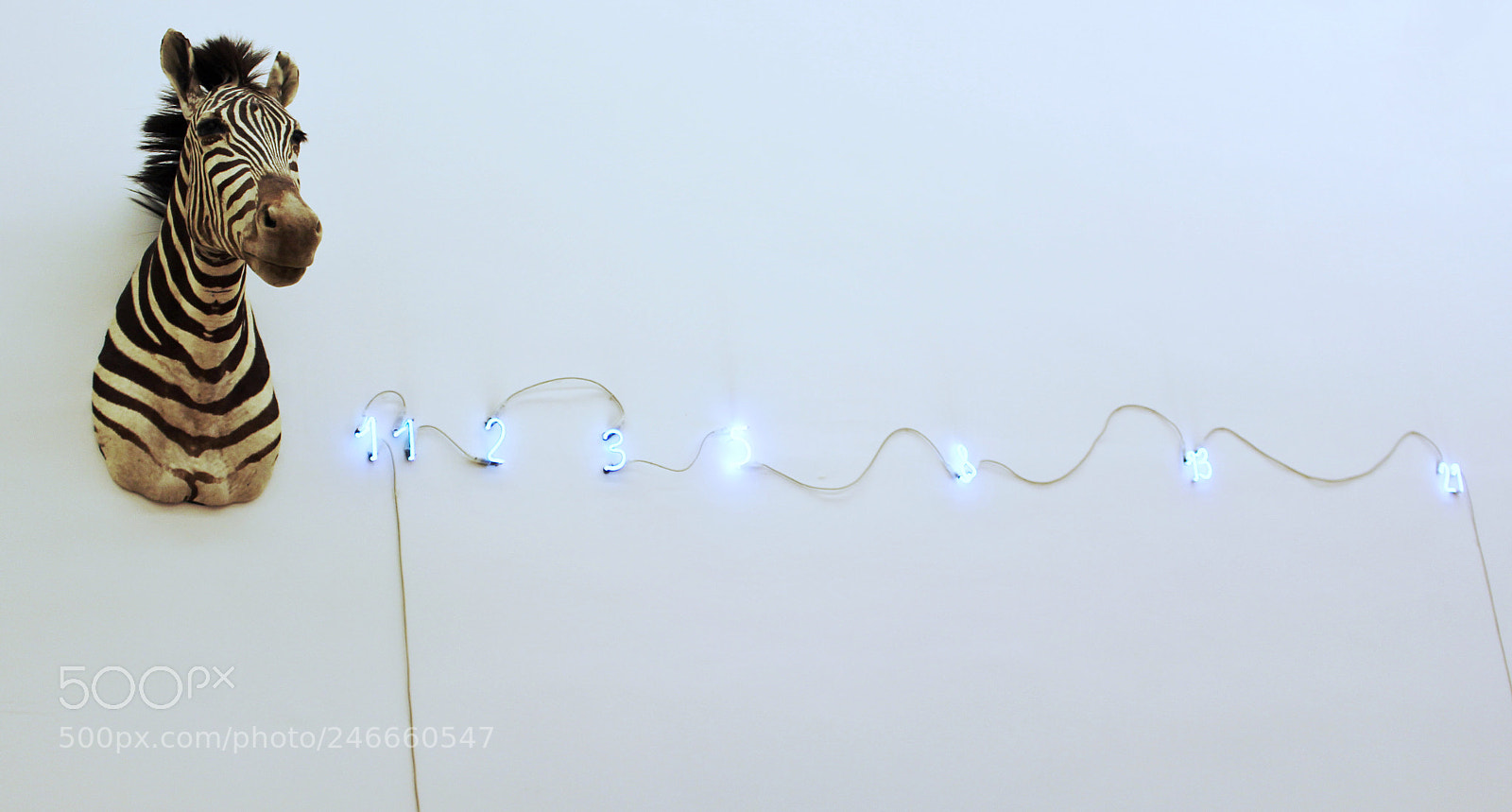 Canon EOS 700D (EOS Rebel T5i / EOS Kiss X7i) sample photo. Untitled photography