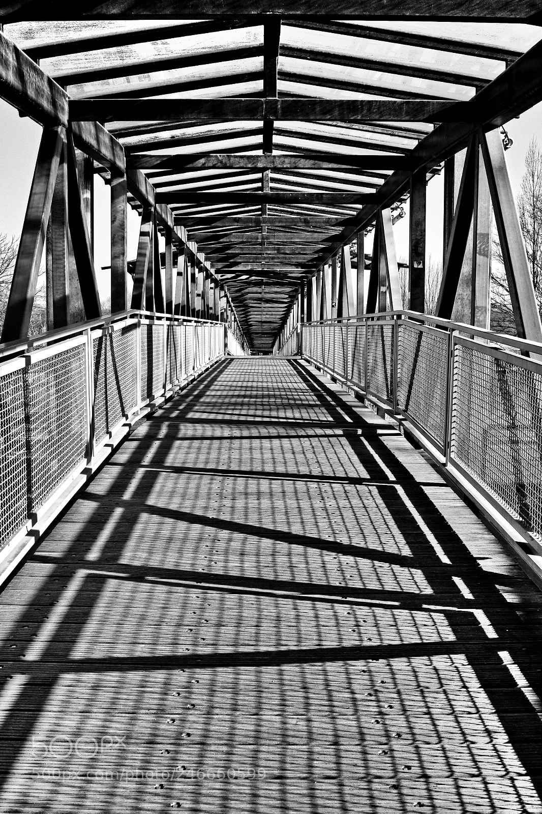 Canon EOS 760D (EOS Rebel T6s / EOS 8000D) sample photo. Pedestrian bridge photography