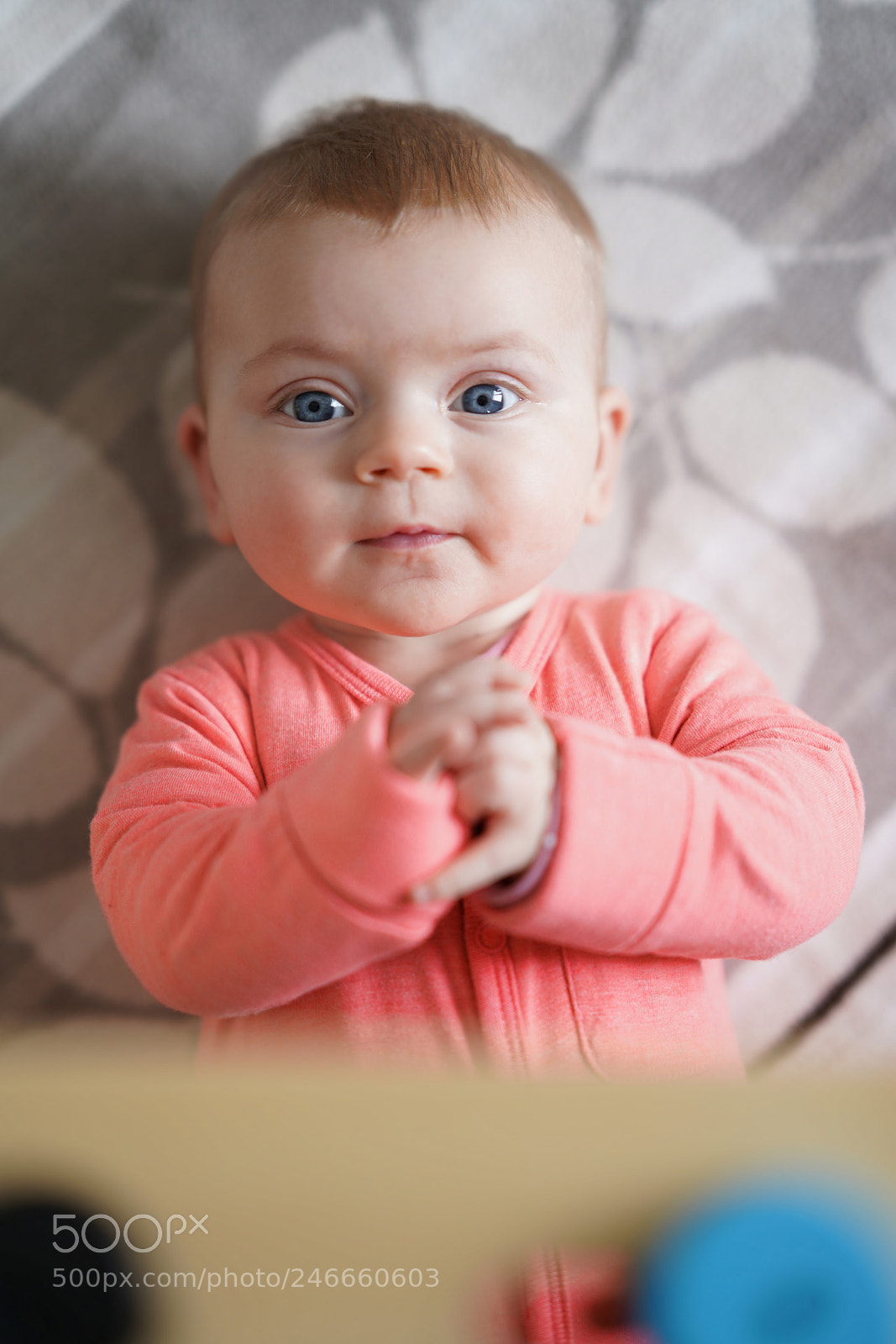 Sony a7R III sample photo. Snapshot photography