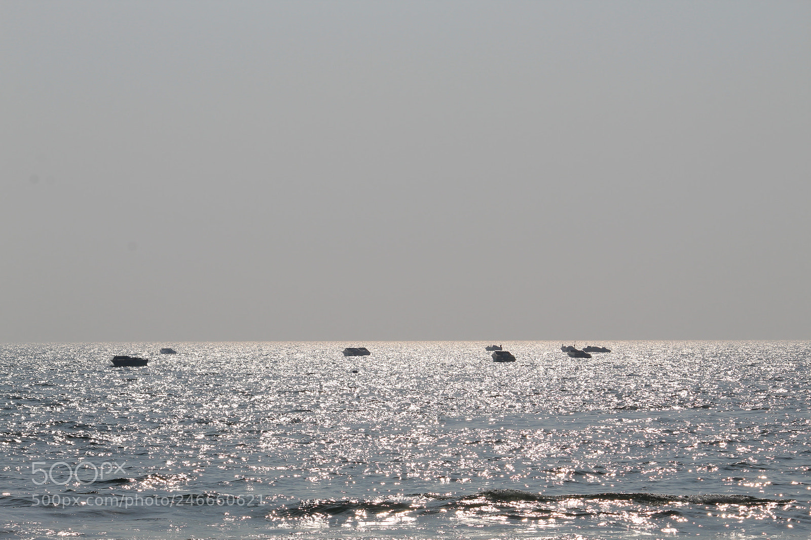 Canon EF-S 55-250mm F4-5.6 IS II sample photo. Untitled photography