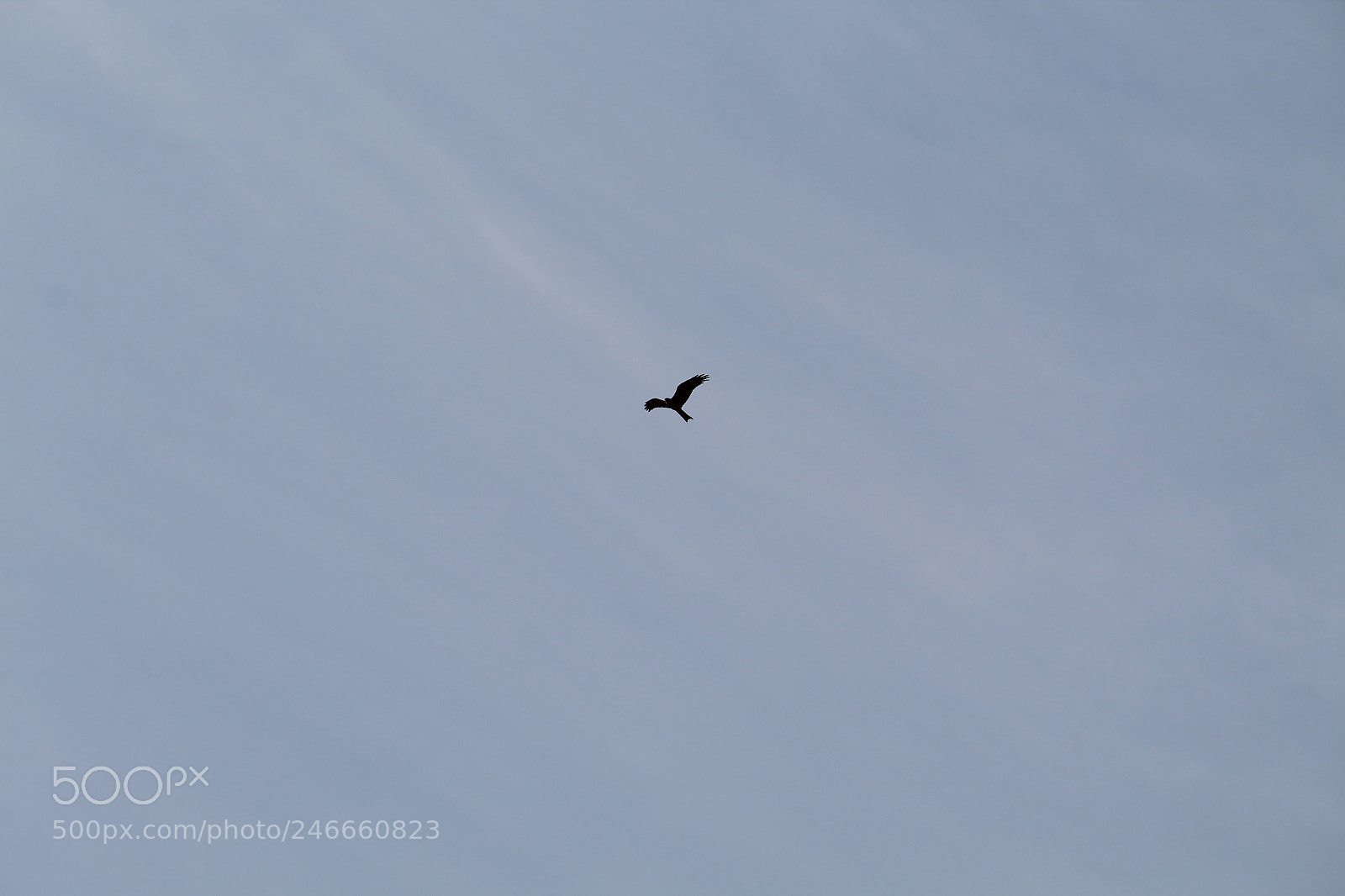 Canon EF-S 55-250mm F4-5.6 IS II sample photo. Untitled photography