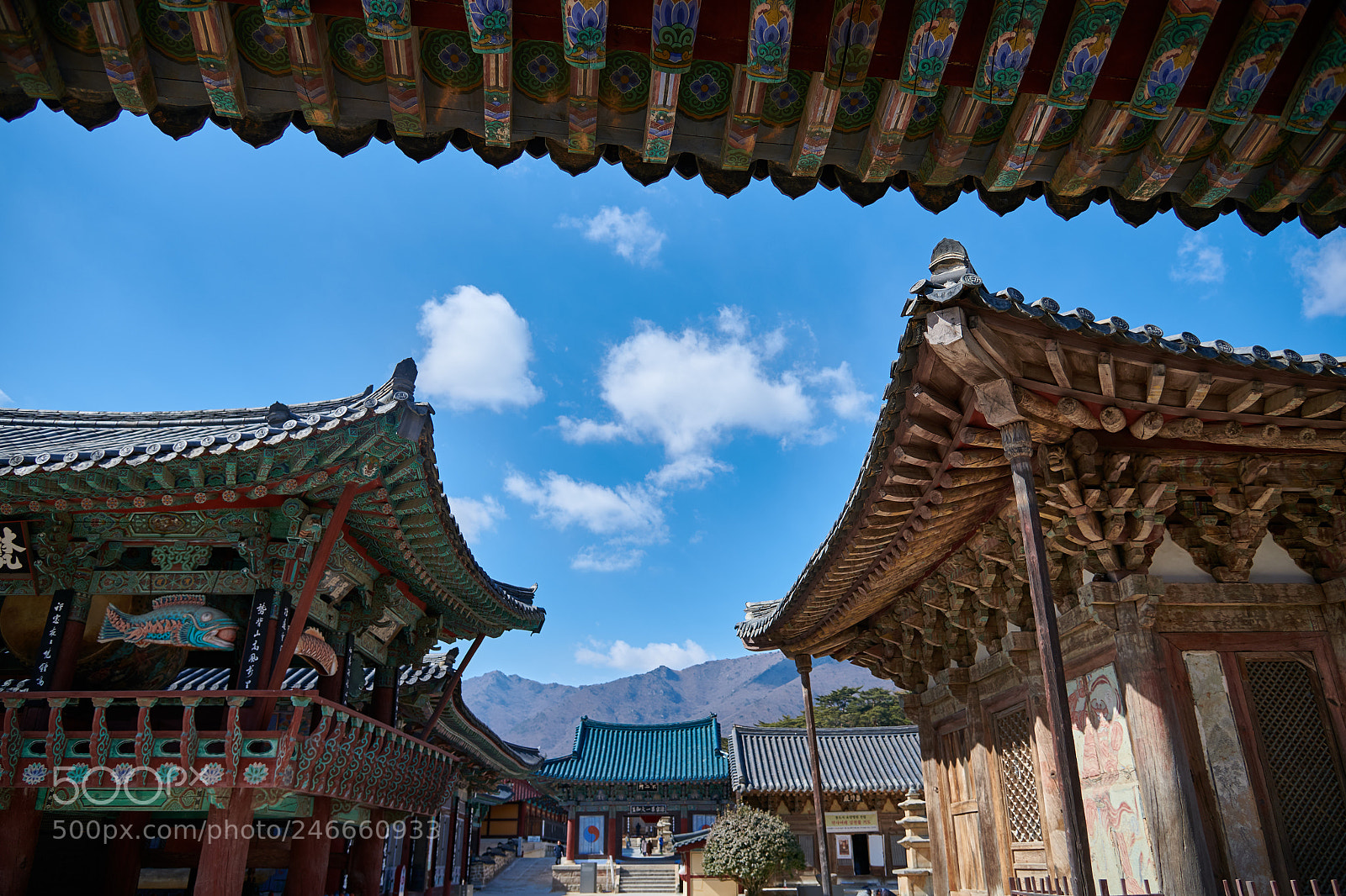 Nikon D850 sample photo. 통도사일주문에서의구도블로그용 dsc photography