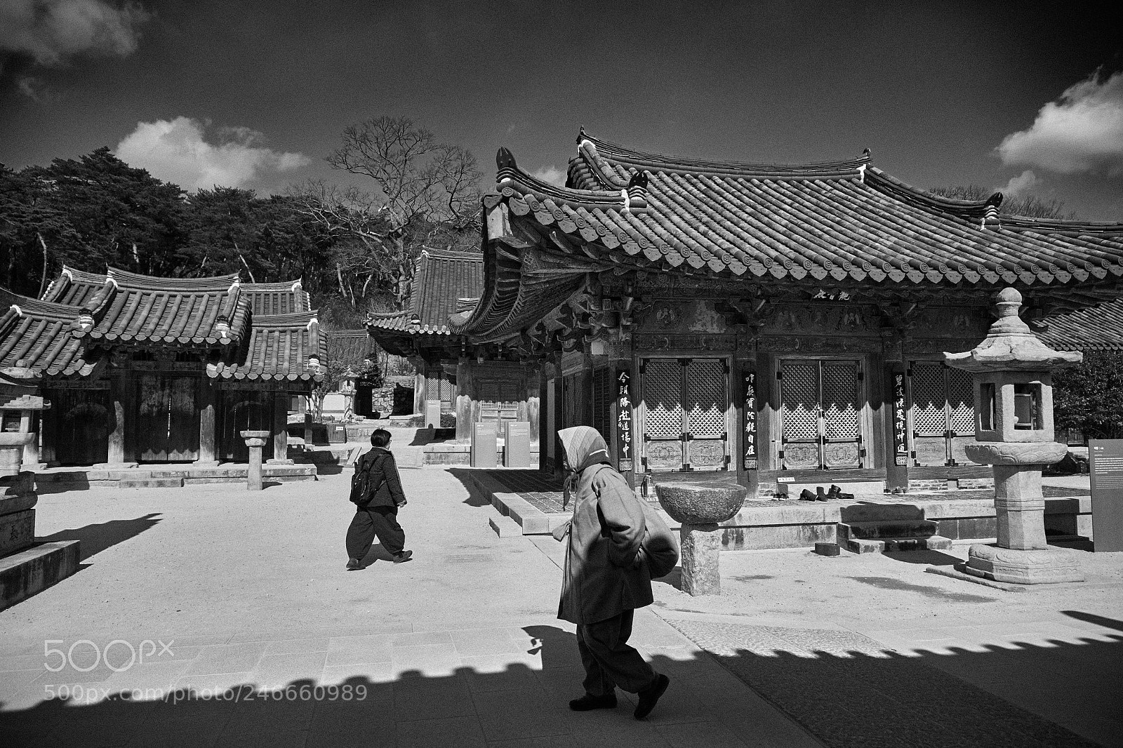 Nikon D850 sample photo. 가보고싶었던통도사블로그용 dsc photography