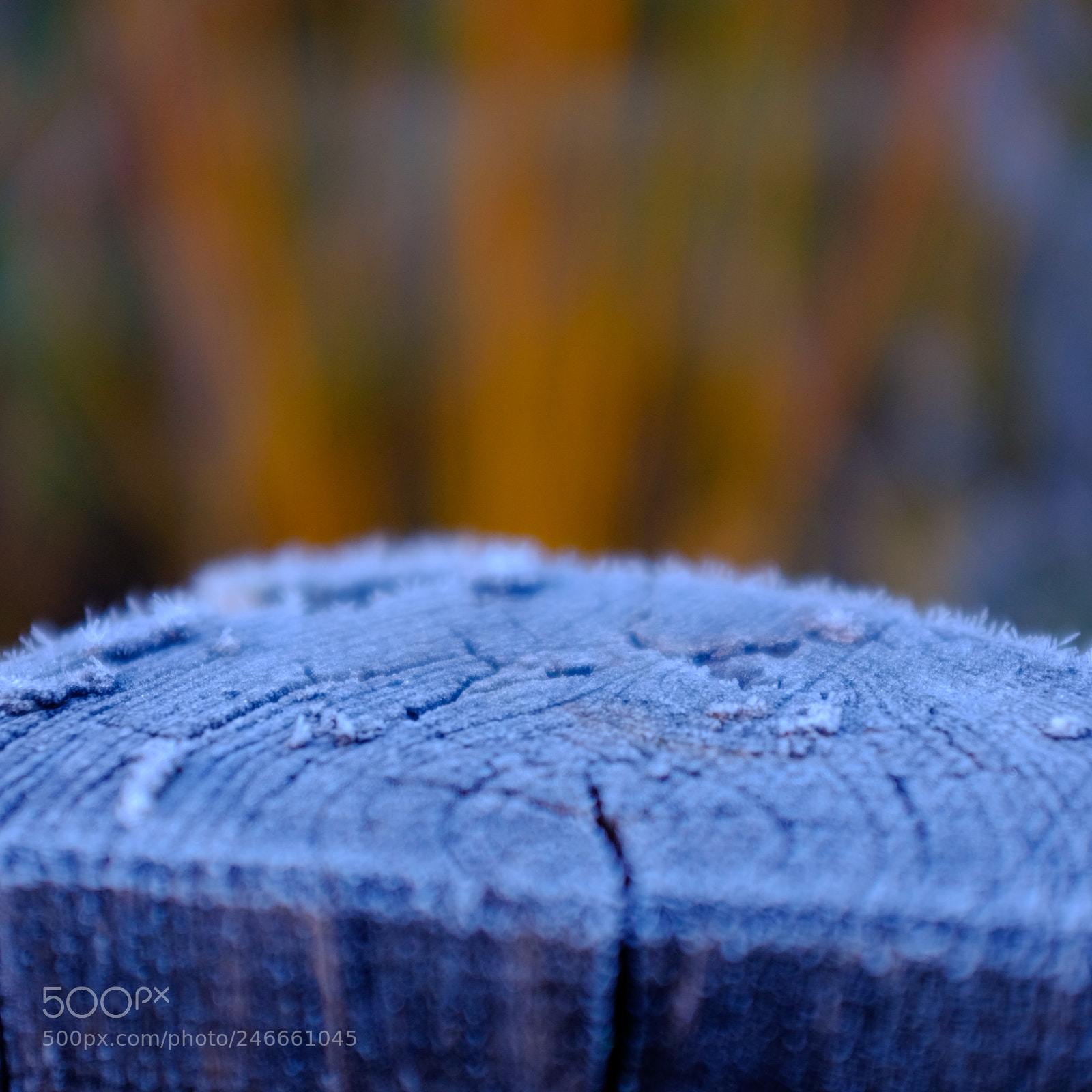 Fujifilm X100S sample photo. Frozen pole photography