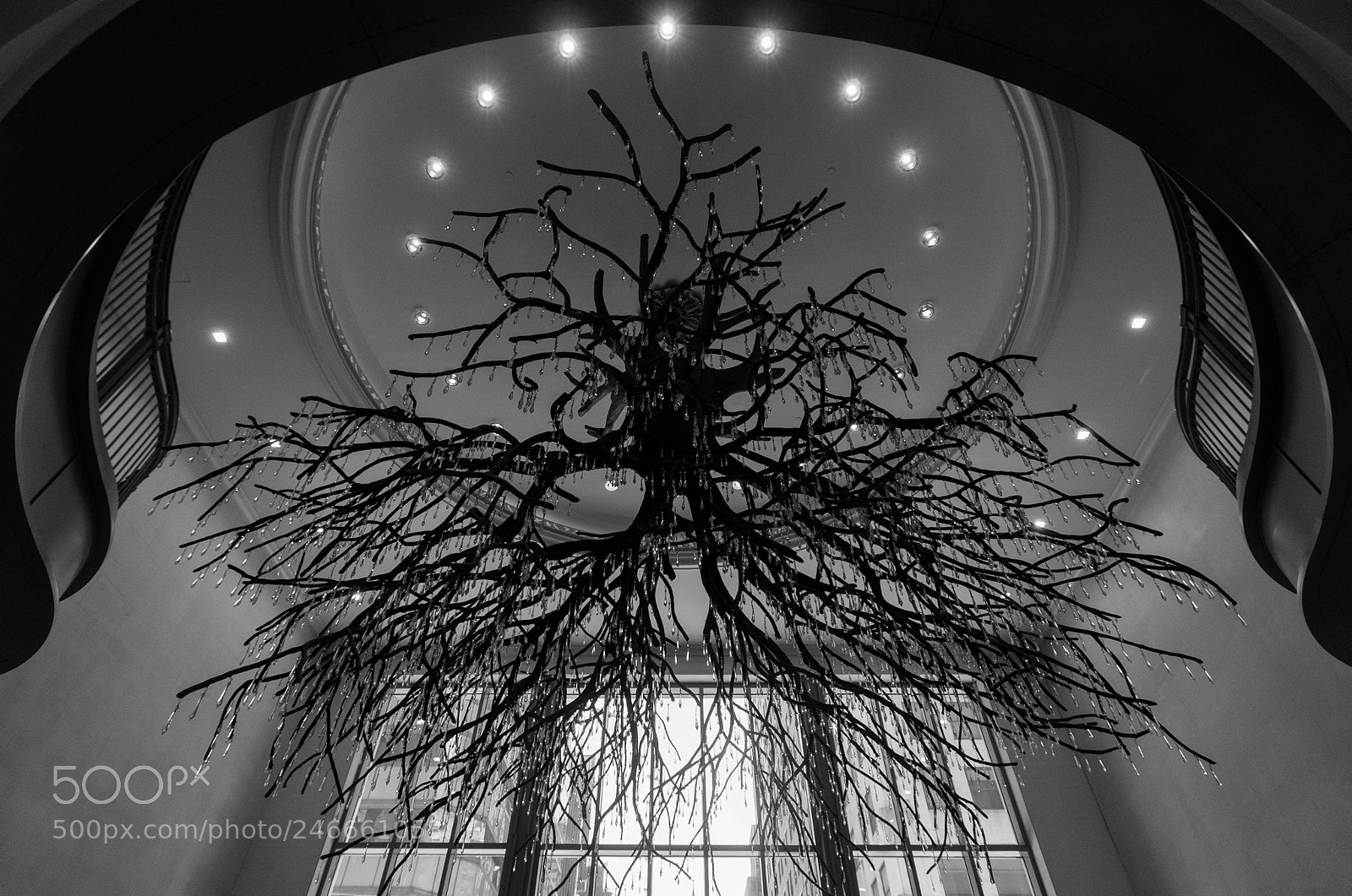 Nikon D90 sample photo. Grand central station tree photography