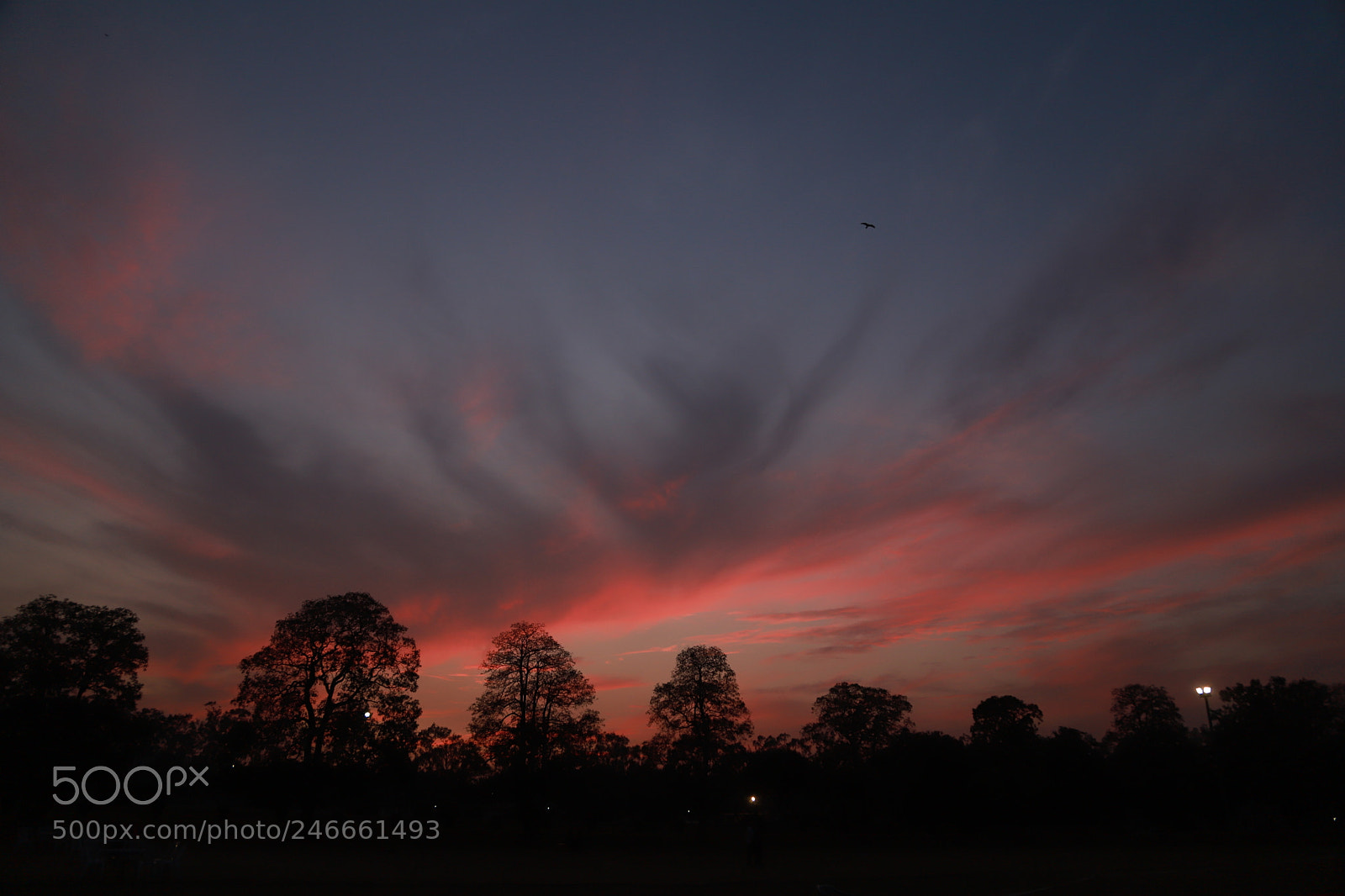 Canon EF 24-105mm F4L IS USM sample photo. Untitled photography