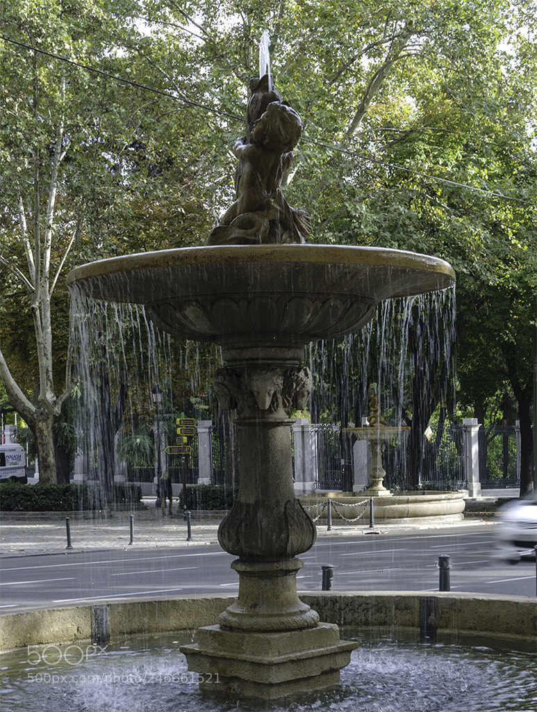 Nikon D90 sample photo. Fuente photography