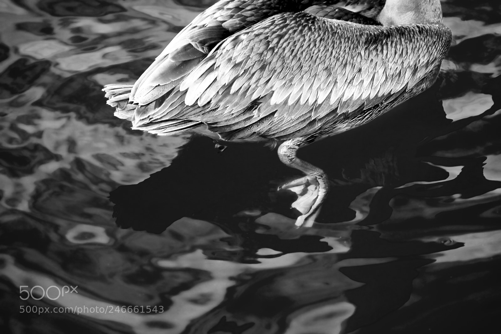 Canon EOS 7D sample photo. Untitled photography