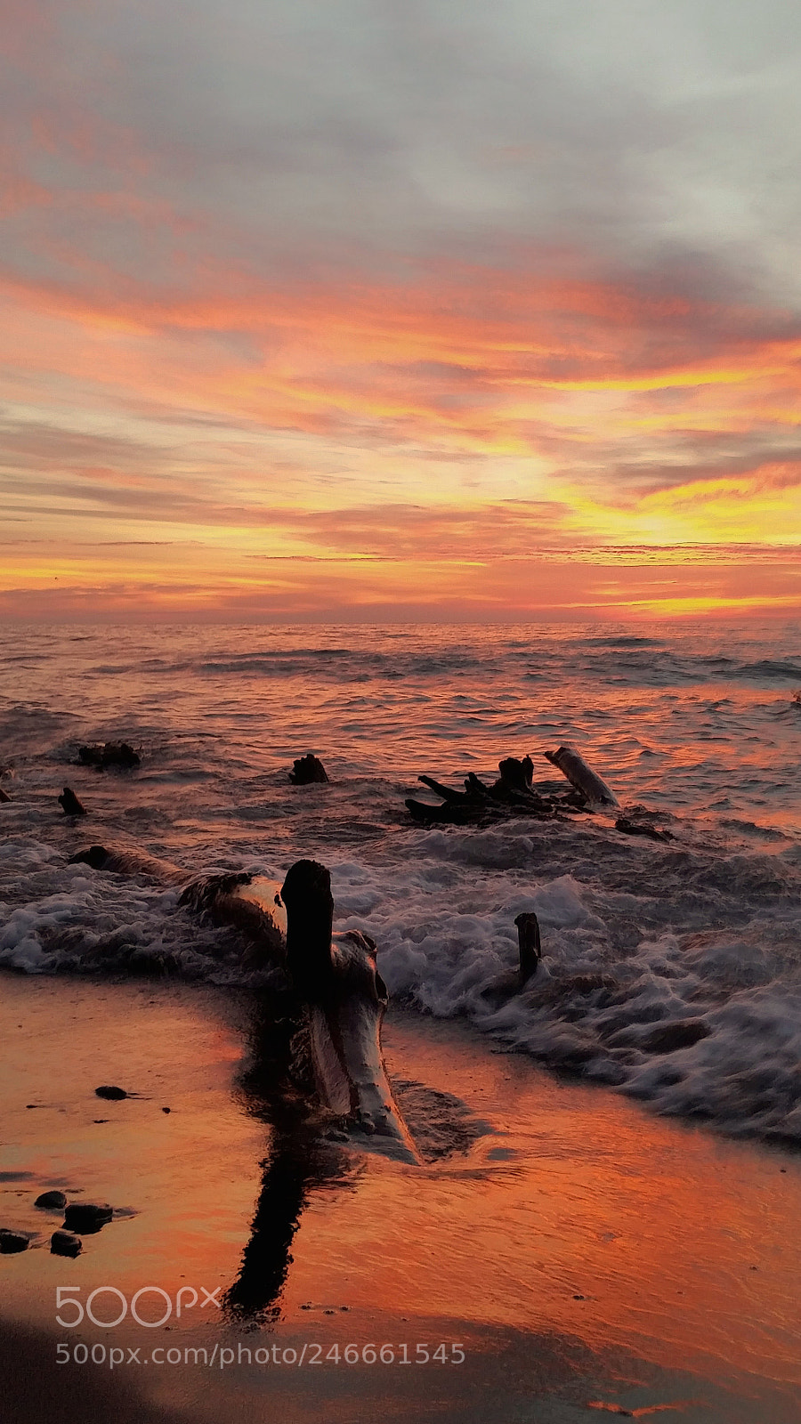Samsung Galaxy S5 sample photo. Runner's delight photography