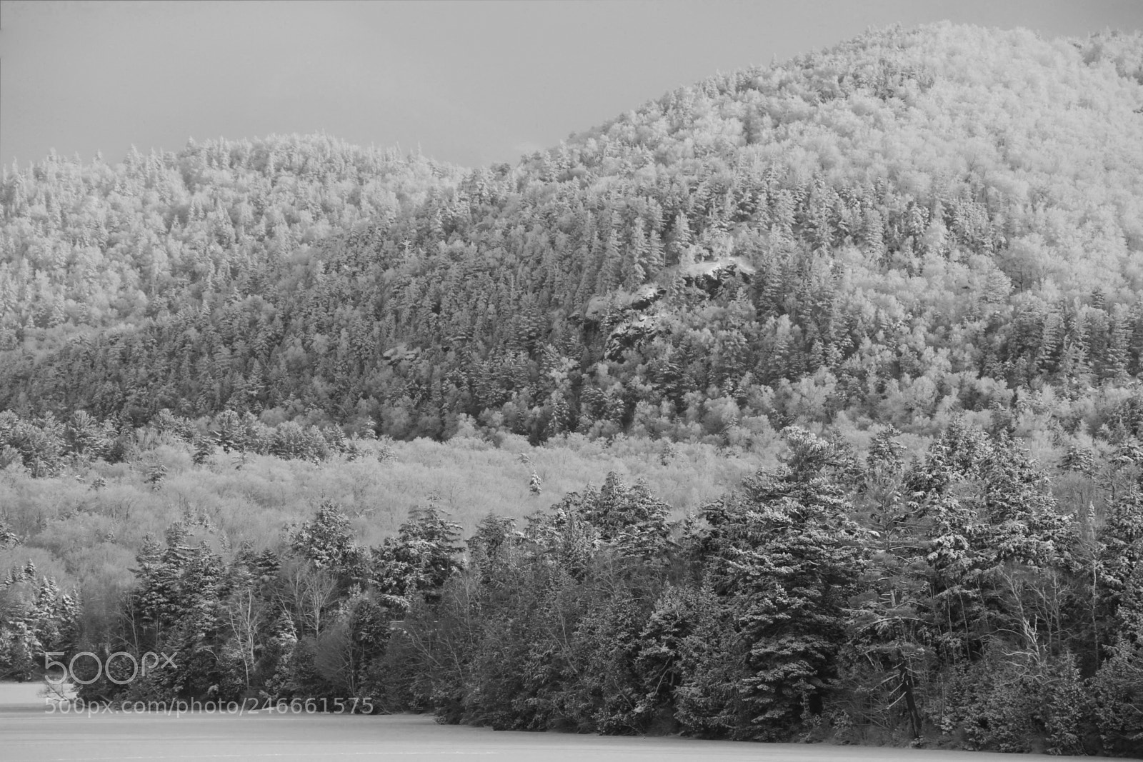 Canon EOS 7D sample photo. Untitled photography