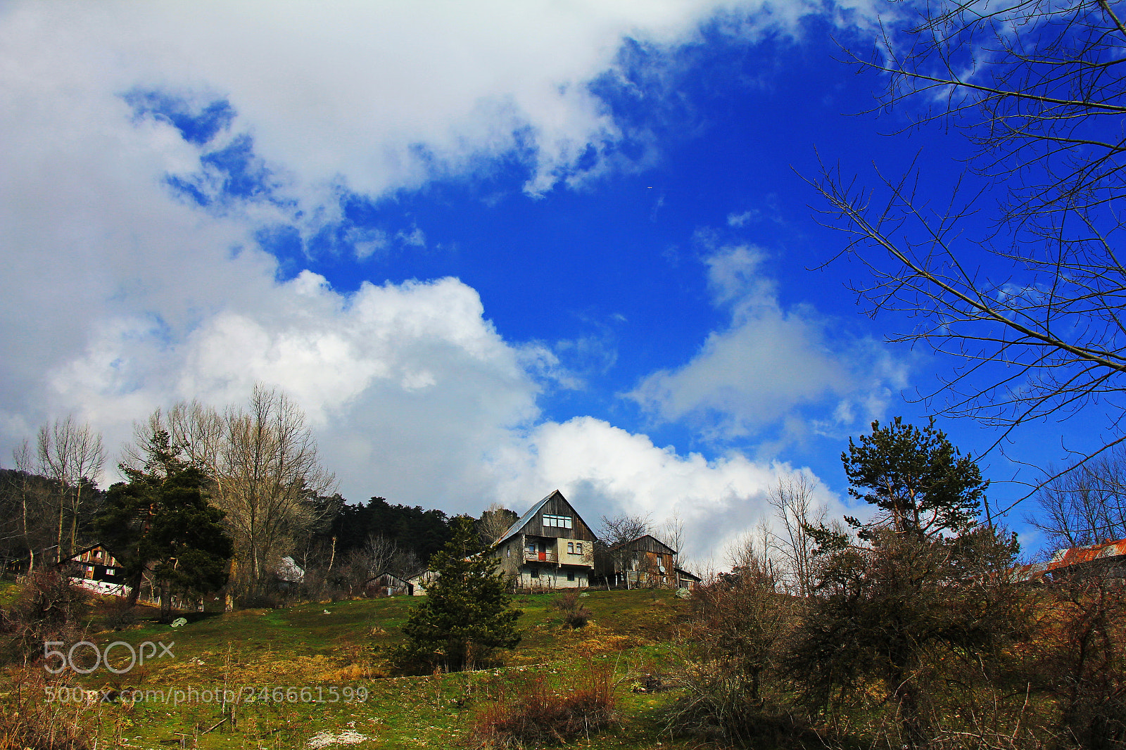Canon EOS 60D sample photo. Untitled photography