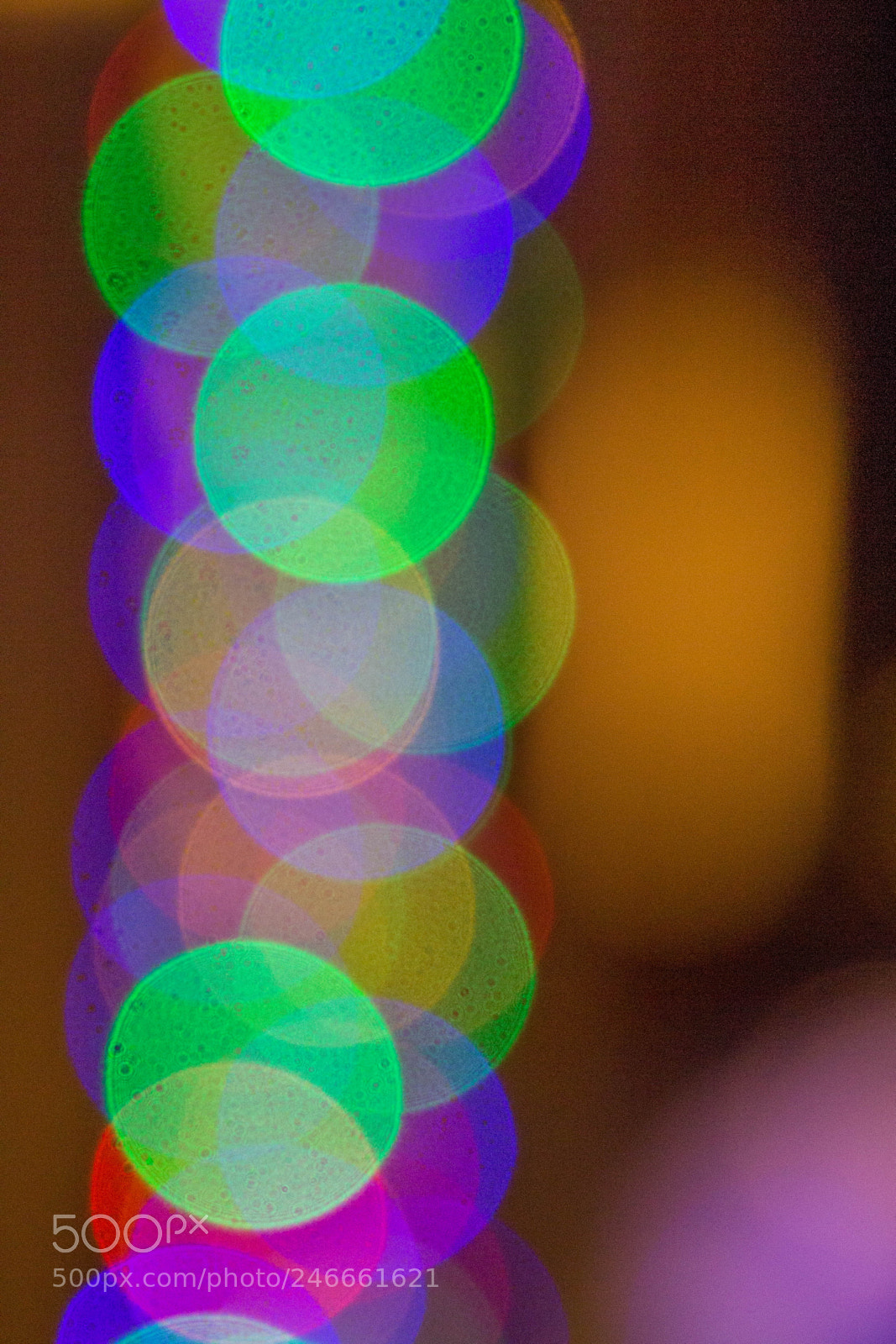 Canon EOS 700D (EOS Rebel T5i / EOS Kiss X7i) sample photo. Lights photography