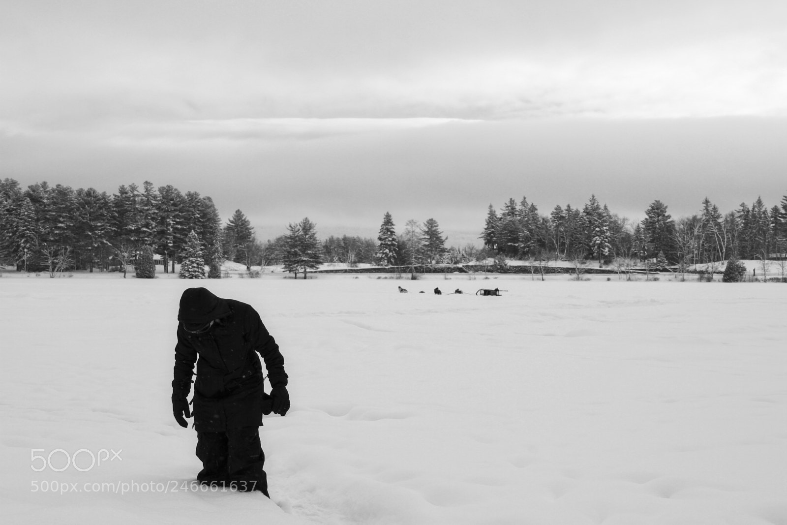 Canon EOS 7D sample photo. Untitled photography