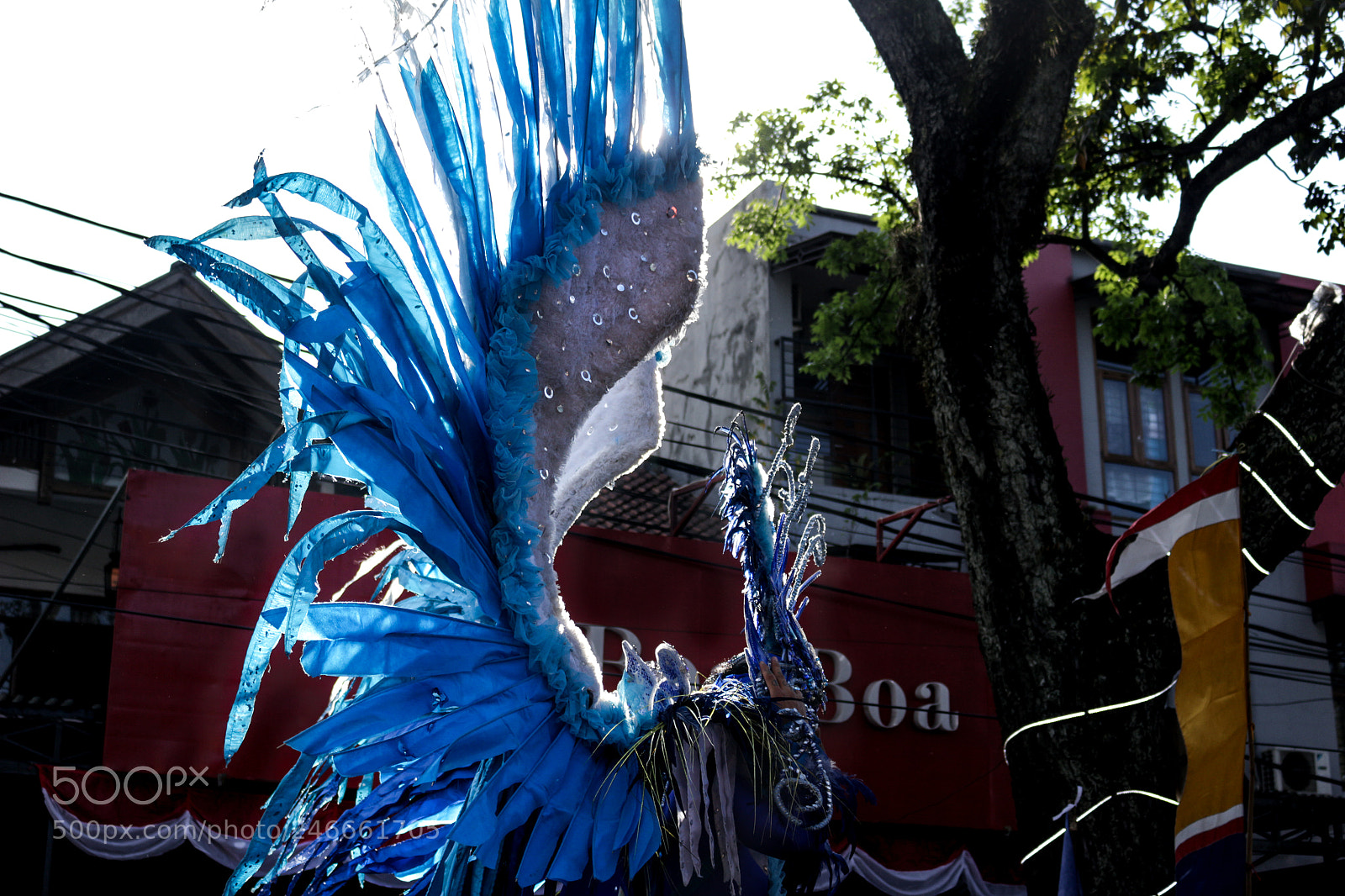 Canon EOS 100D (EOS Rebel SL1 / EOS Kiss X7) sample photo. The wing photography